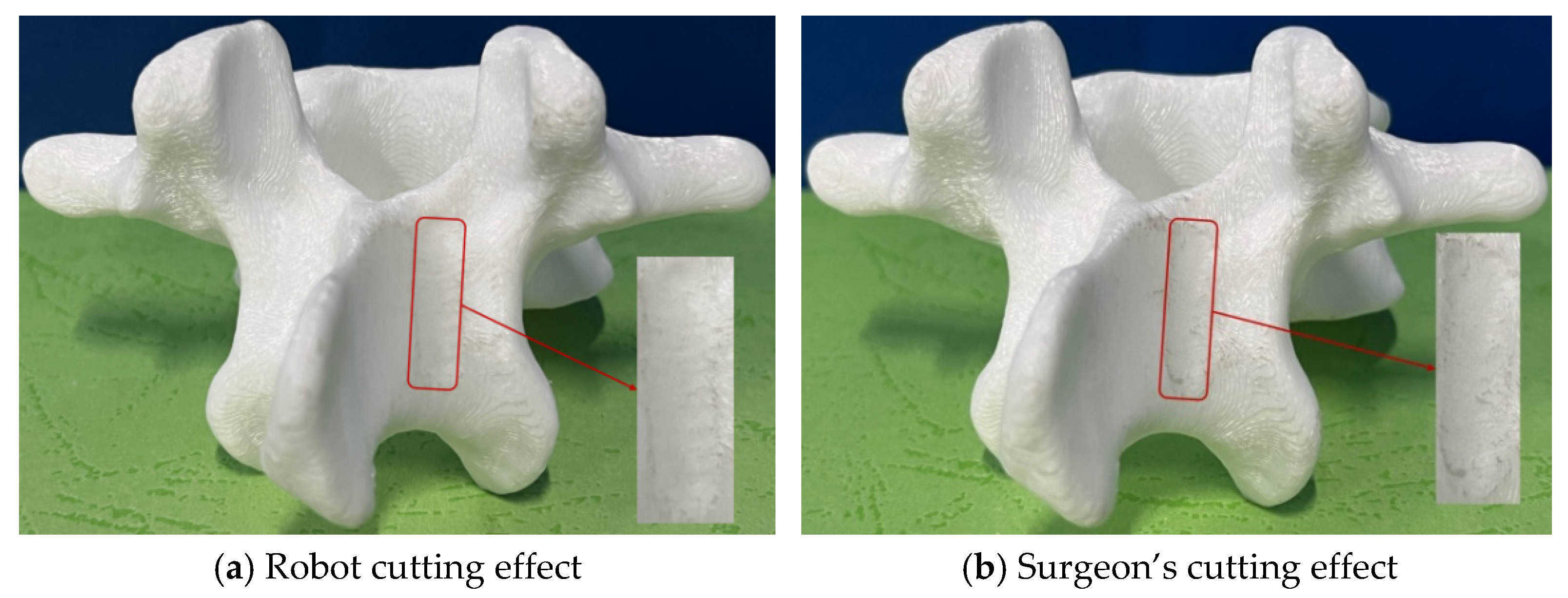Biomimetics 09 00719 g027