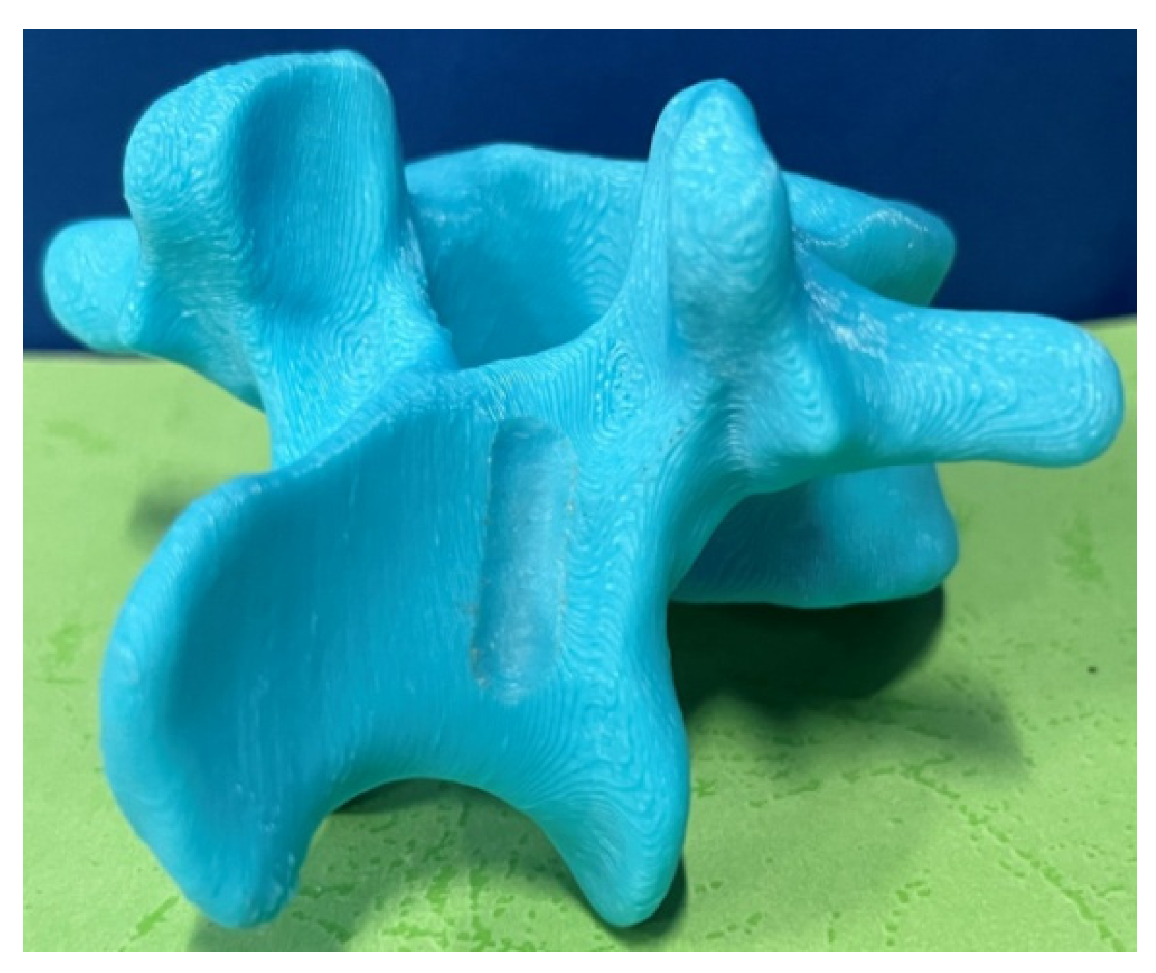 Biomimetics 09 00719 g031