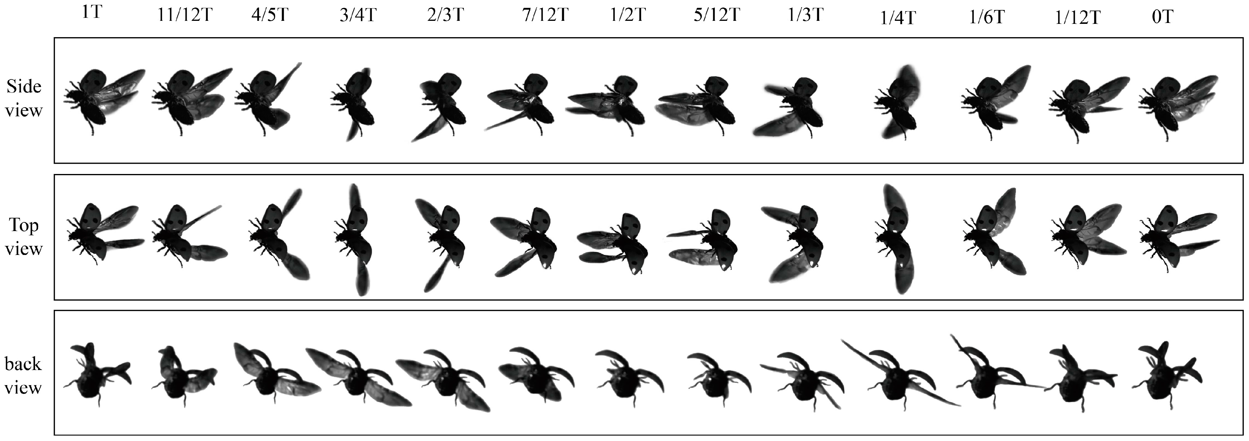 Biomimetics 09 00720 g002