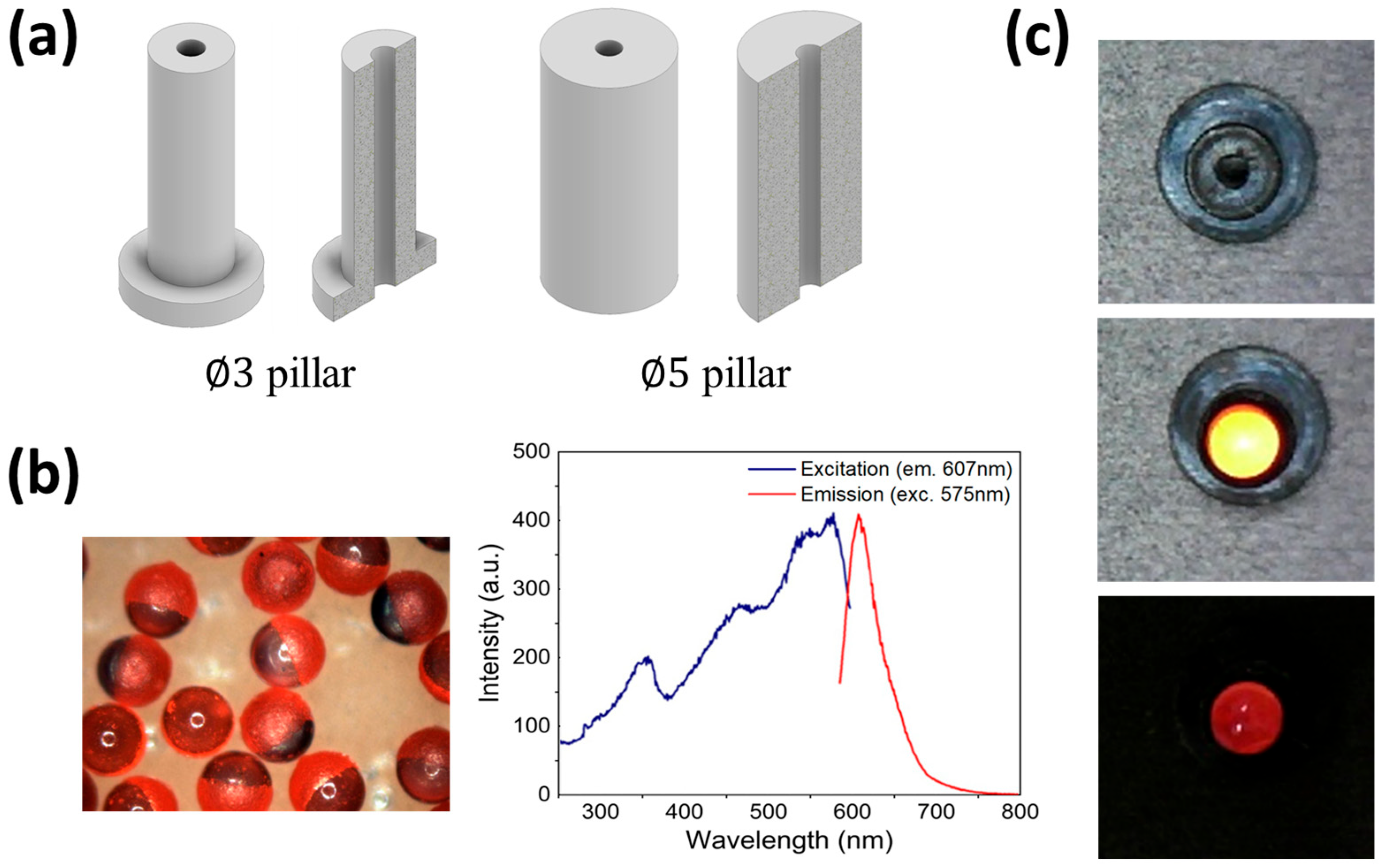 Biomimetics 09 00721 g002