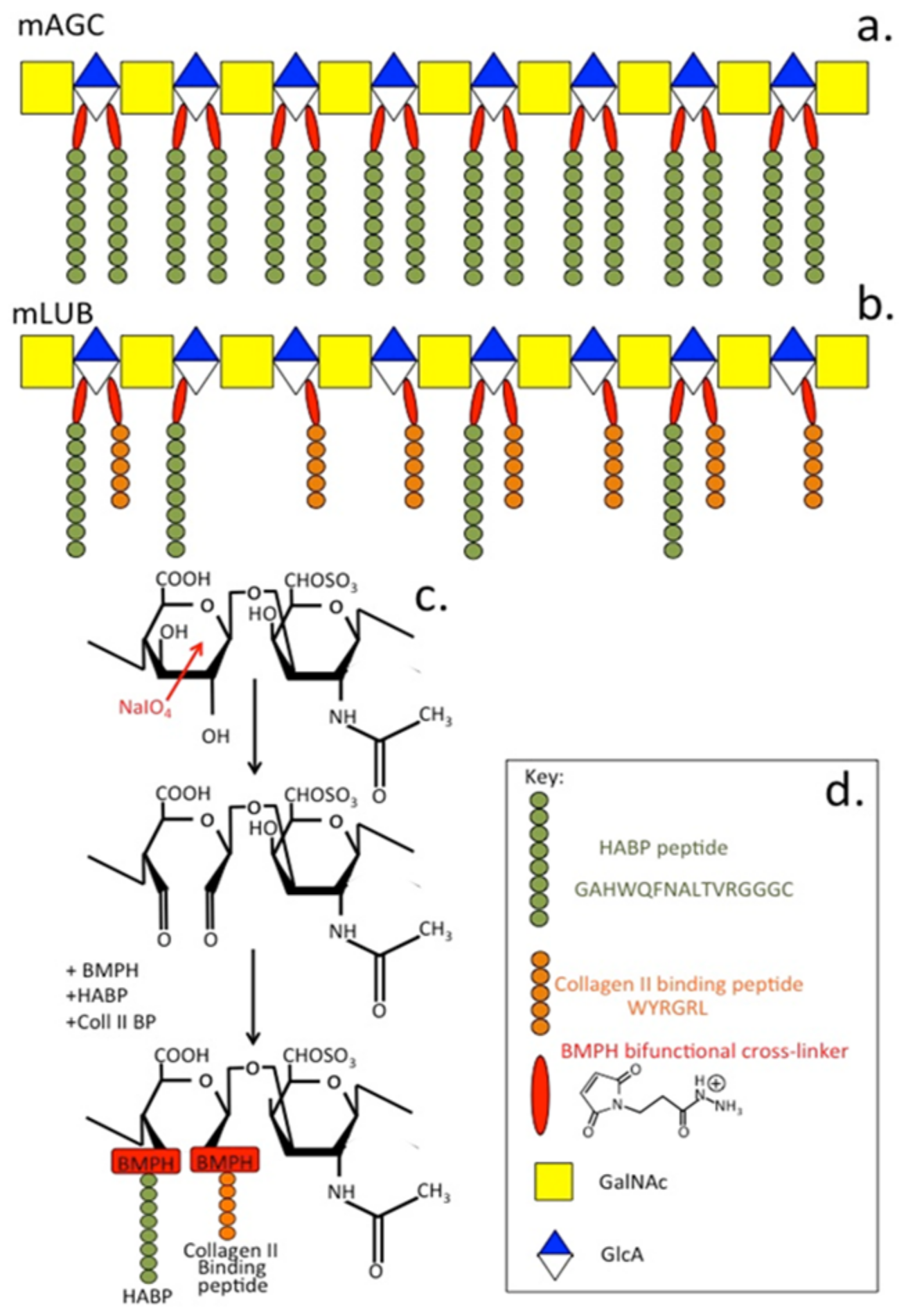 Biomimetics 09 00722 g003