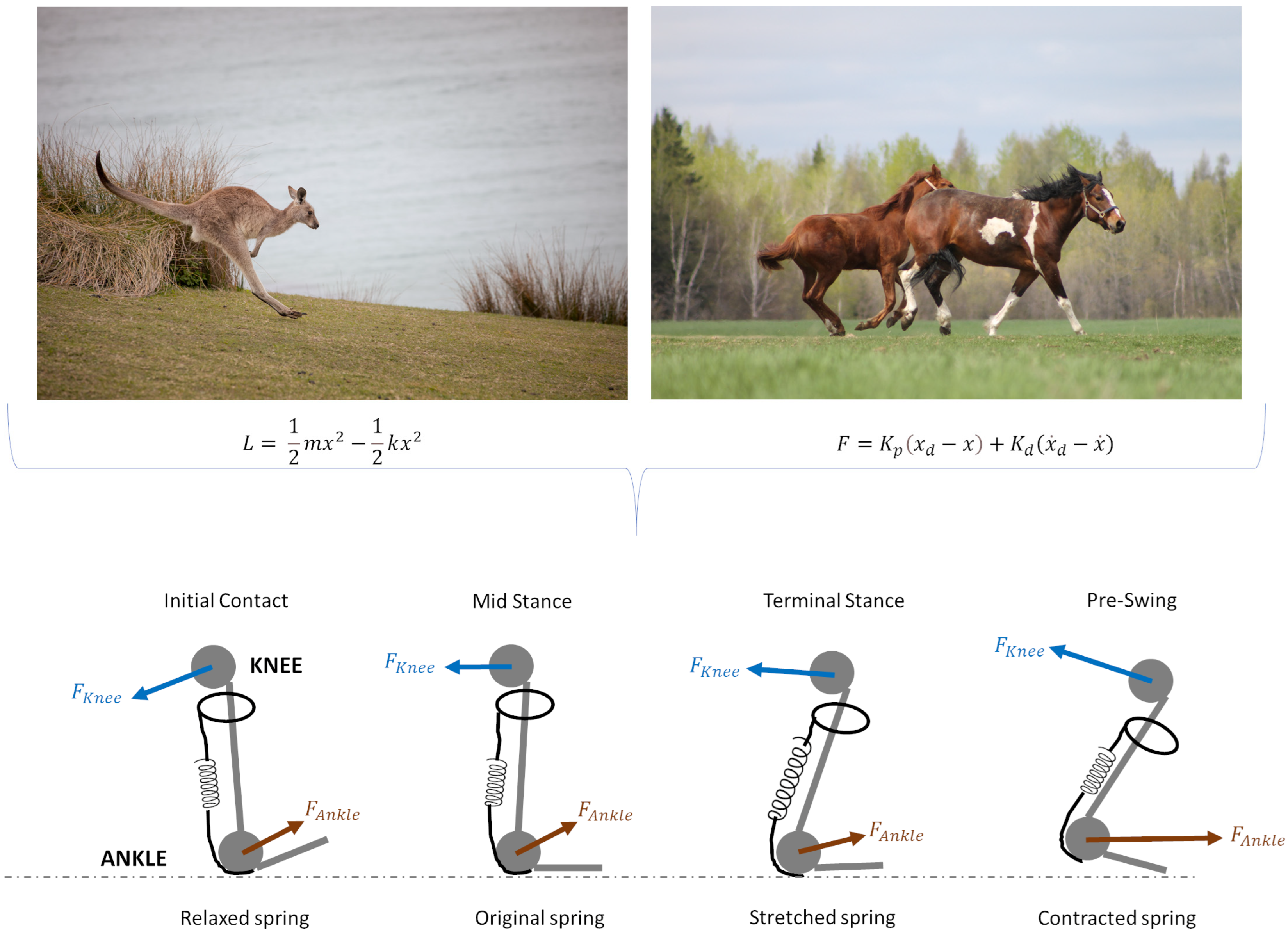 Biomimetics 09 00723 g004