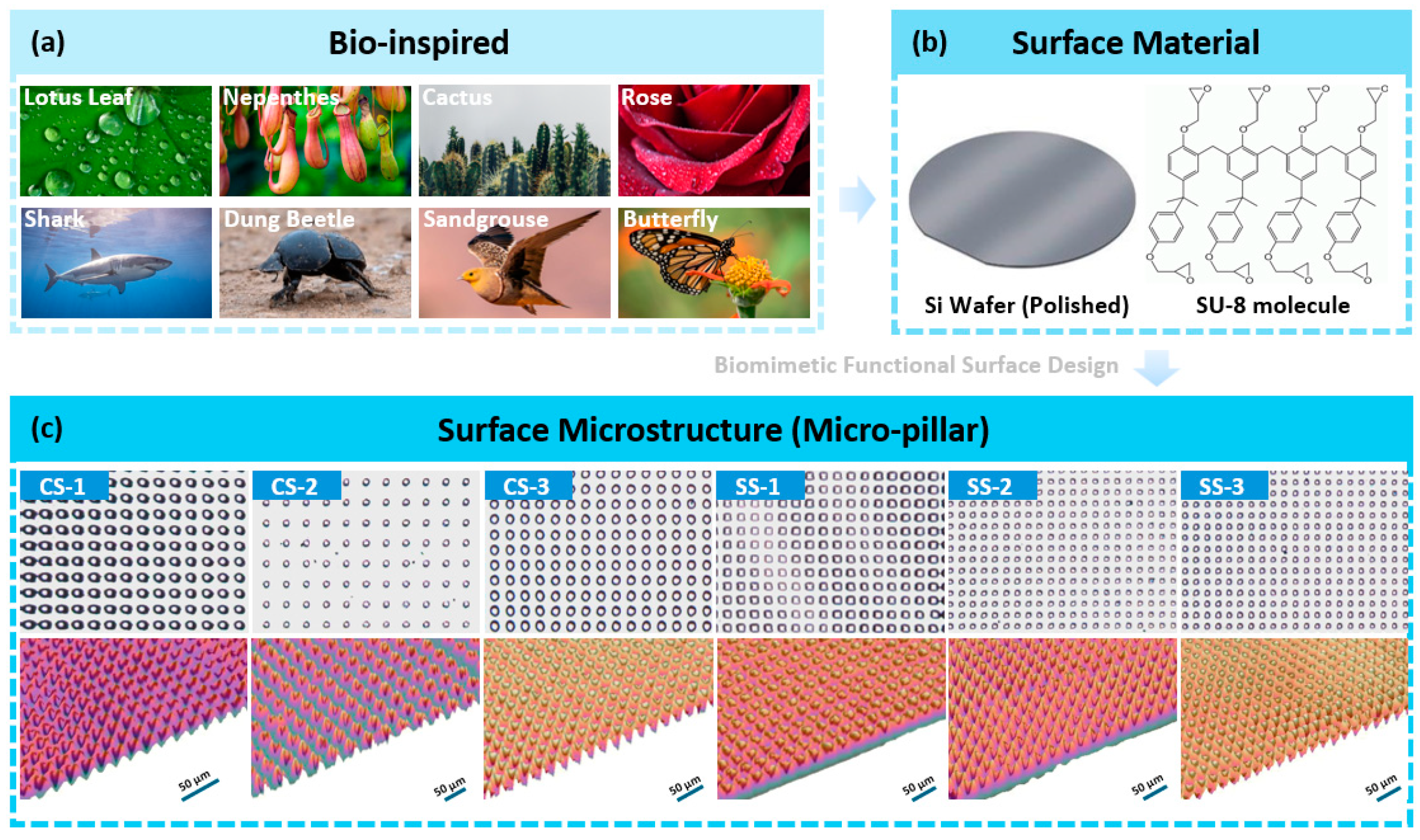 Biomimetics 09 00724 g001
