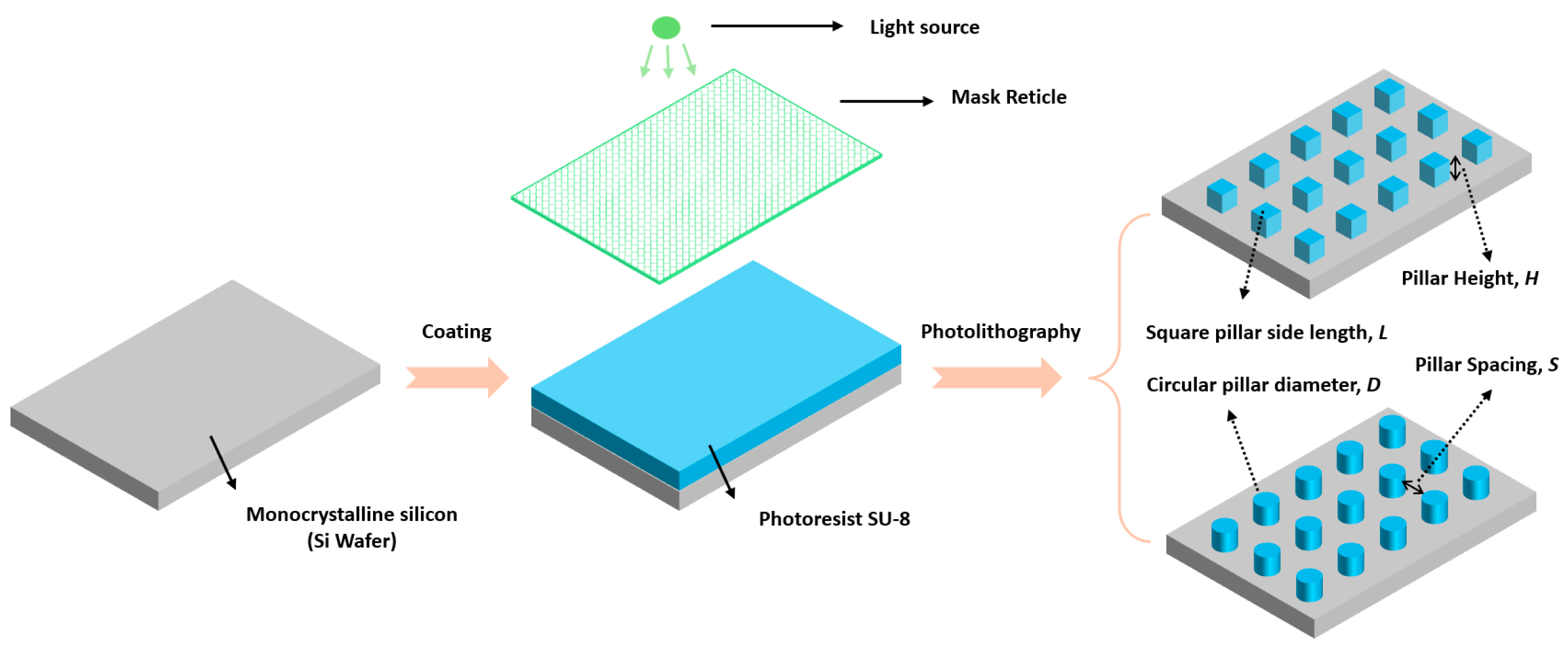 Biomimetics 09 00724 g002