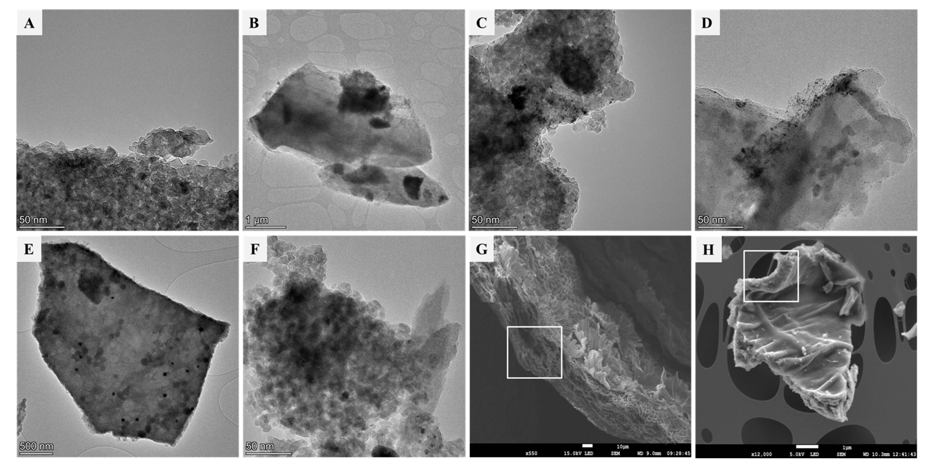 Biomimetics 09 00726 g003