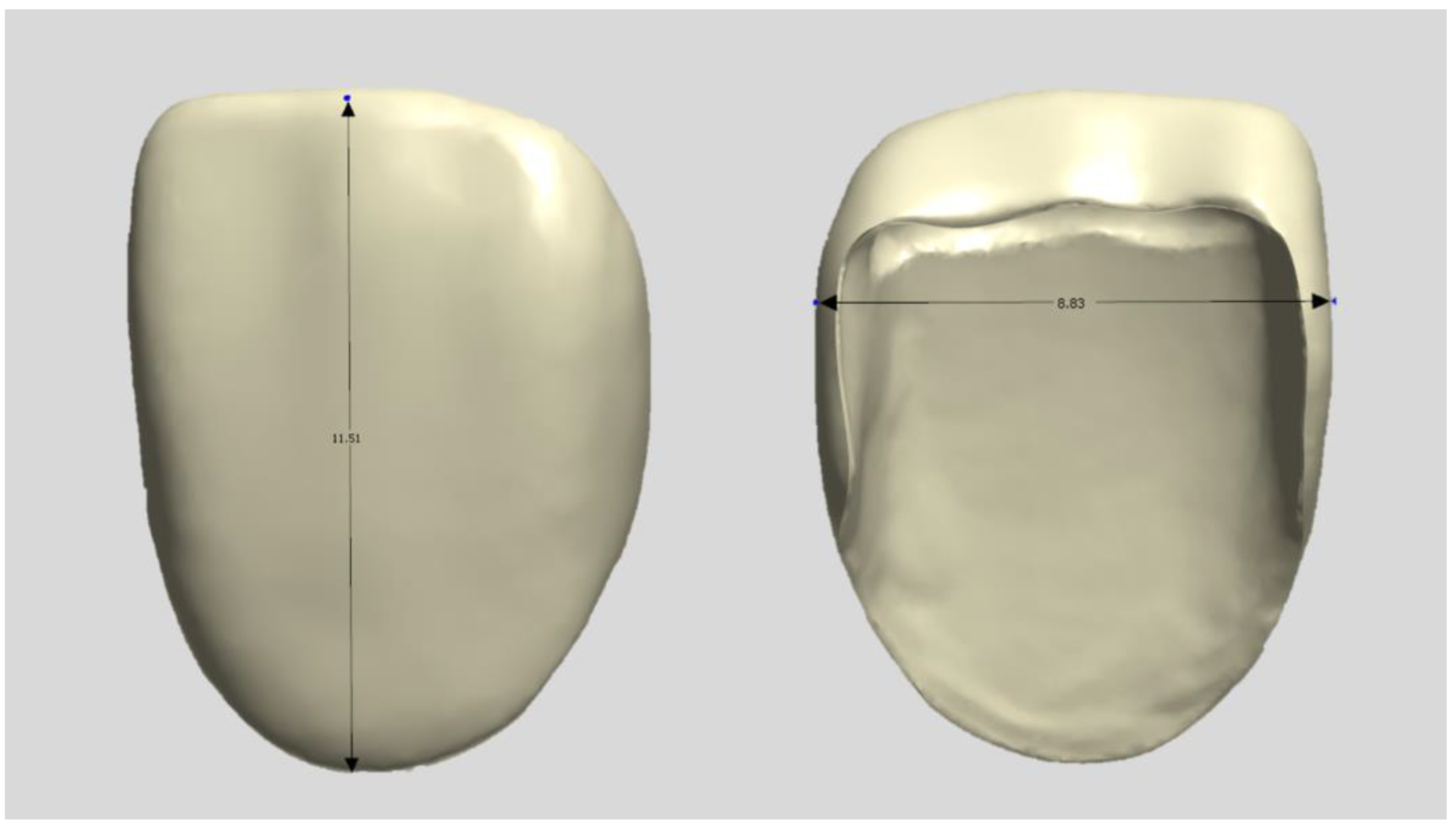 Biomimetics 09 00728 g001