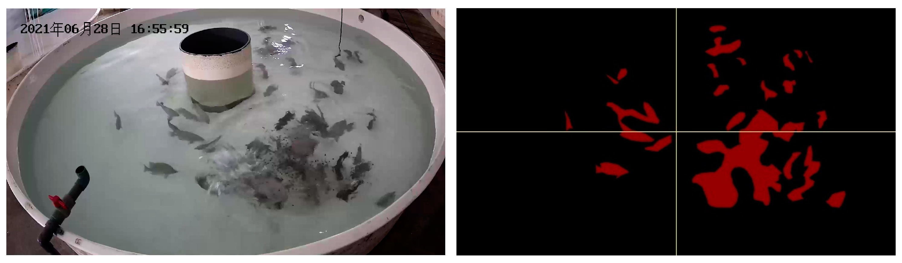 Biomimetics 09 00730 g006