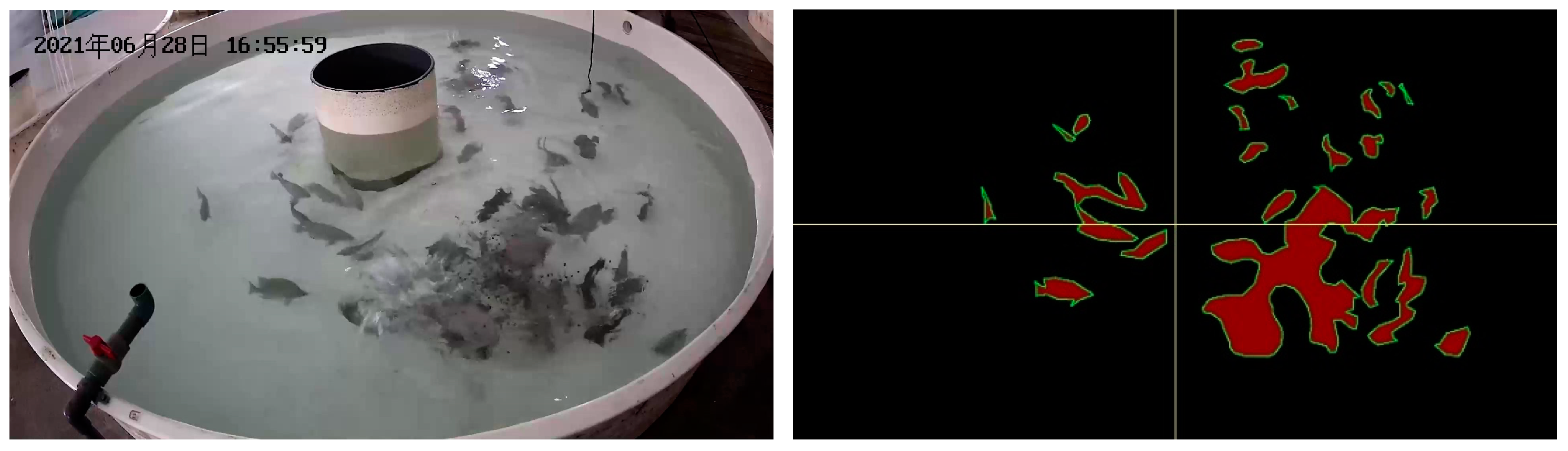 Biomimetics 09 00730 g007