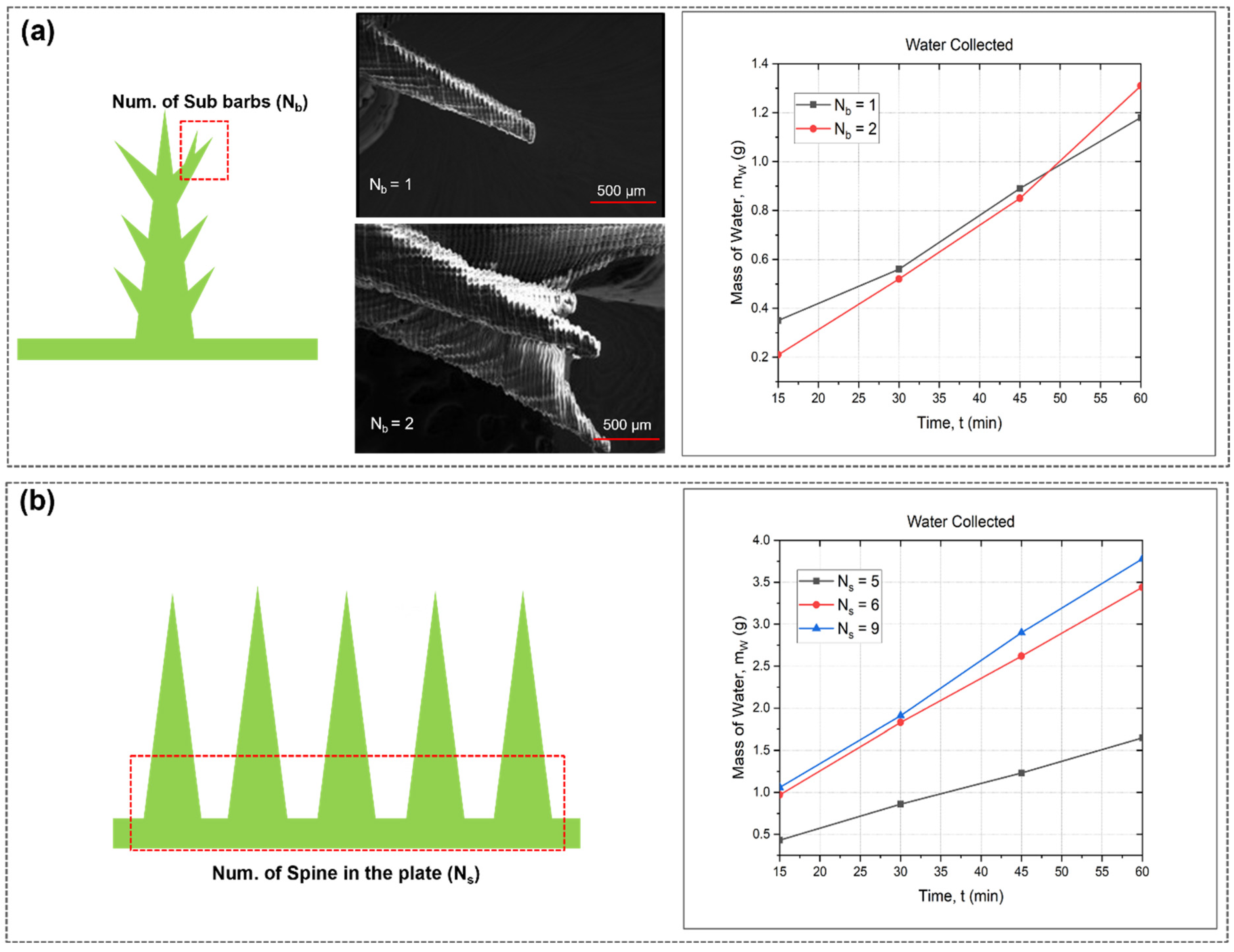 Biomimetics 09 00734 g003