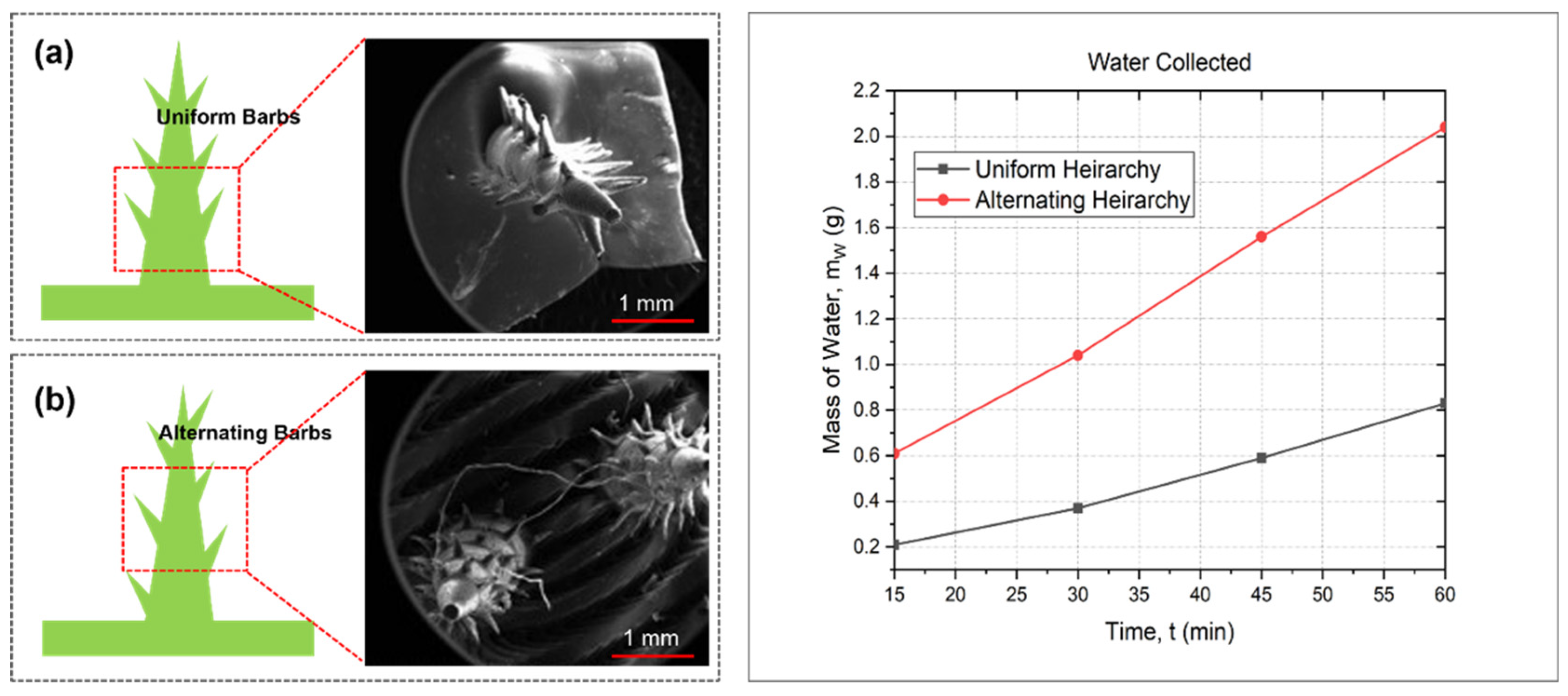 Biomimetics 09 00734 g005