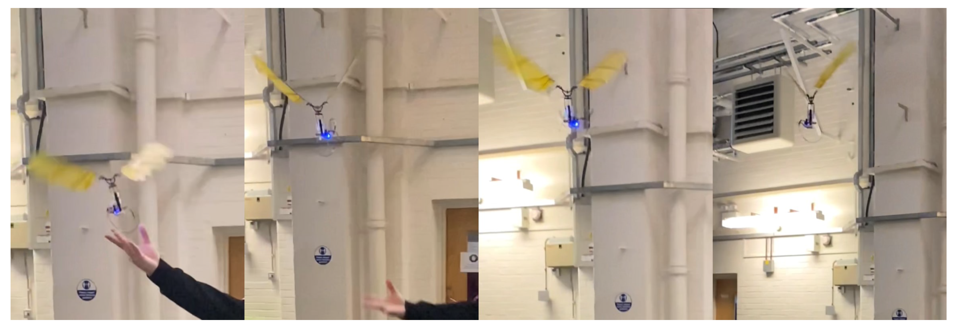 Biomimetics 09 00737 g021