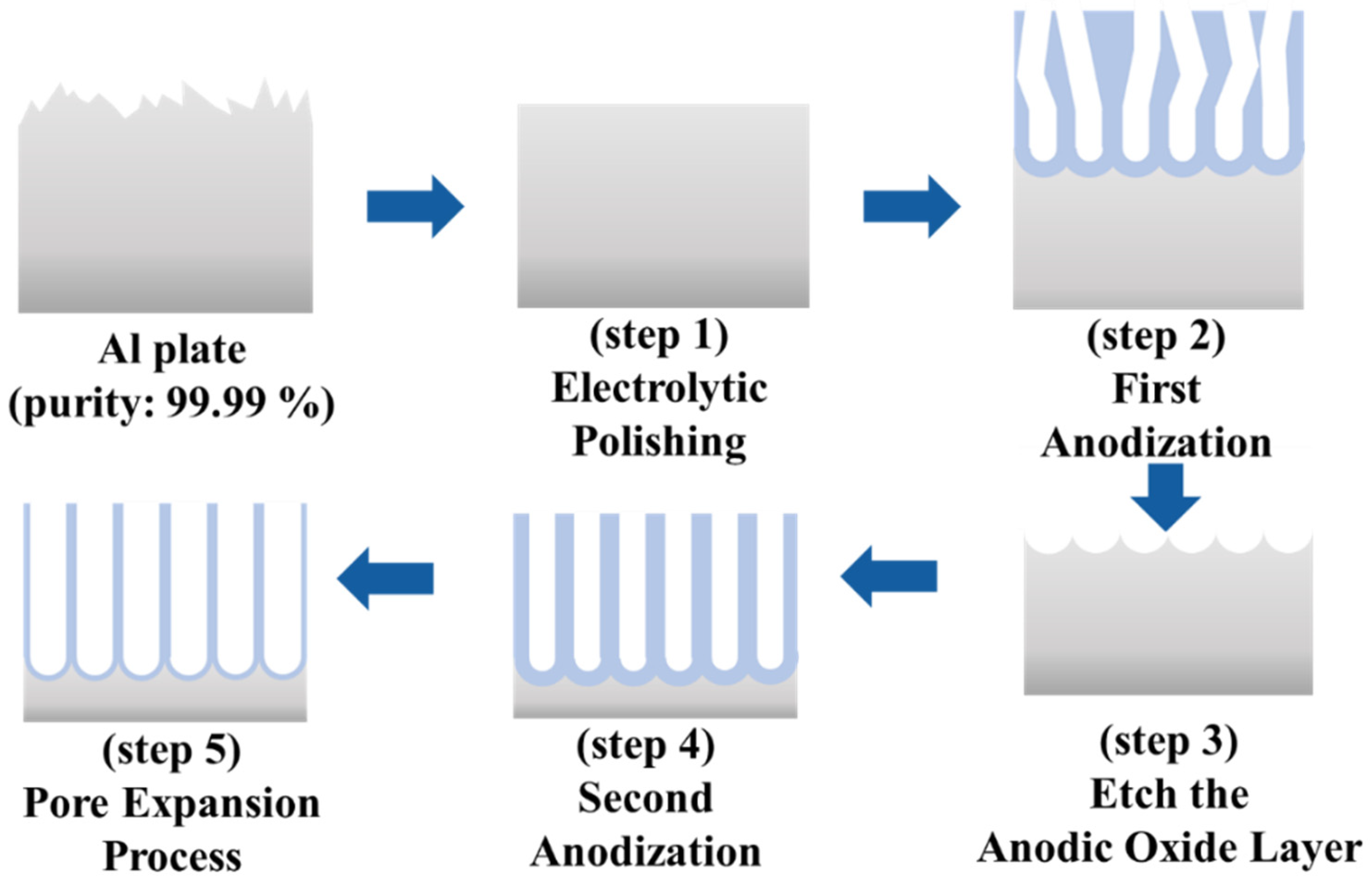 Biomimetics 09 00739 g001