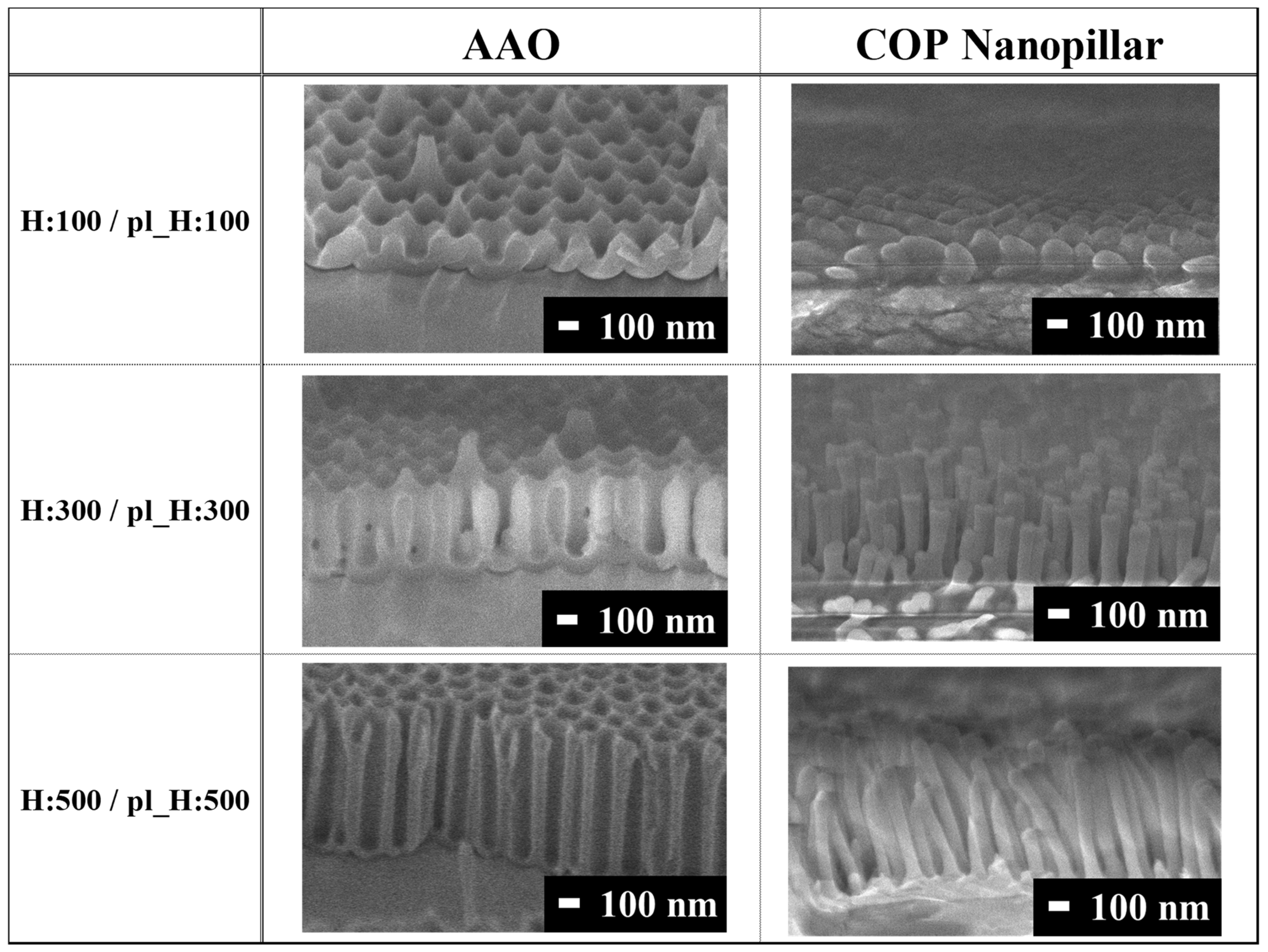 Biomimetics 09 00739 g002