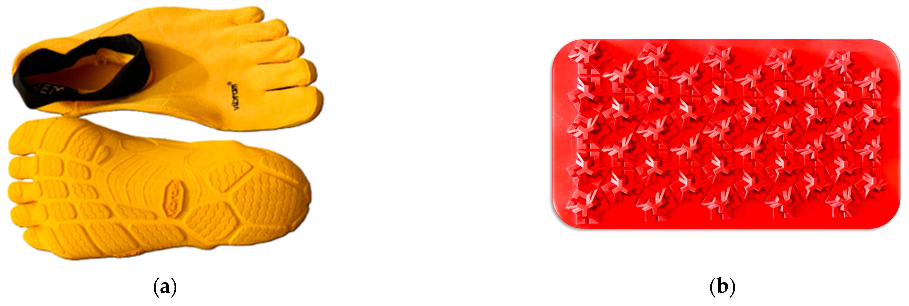 Biomimetics 09 00741 g001 Biomimetics 09 00741 g001