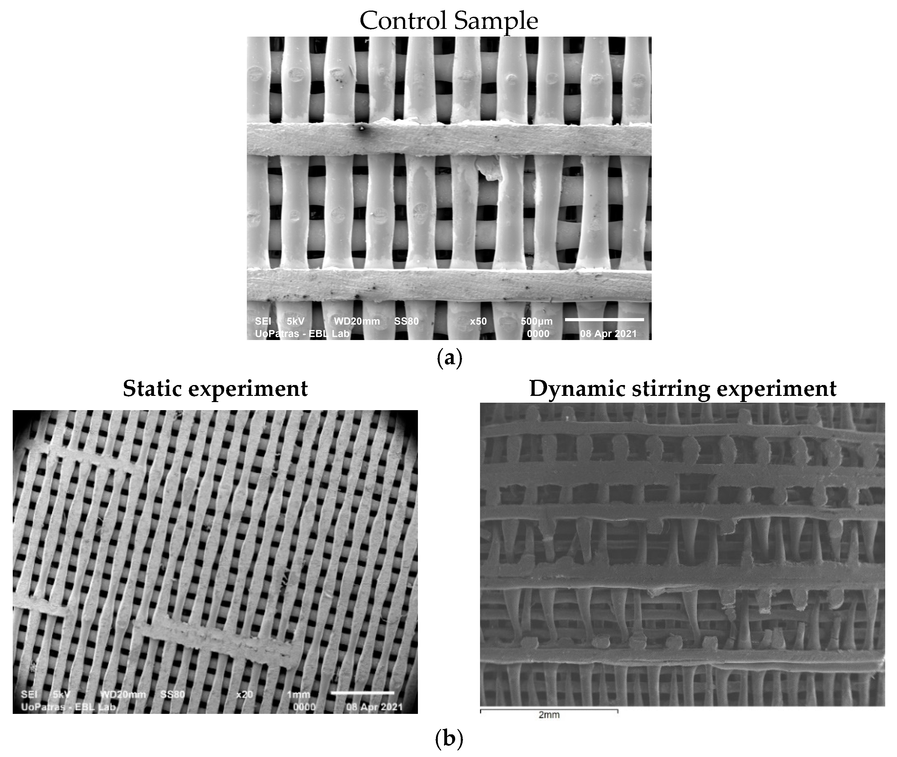 Biomimetics 09 00743 g001a