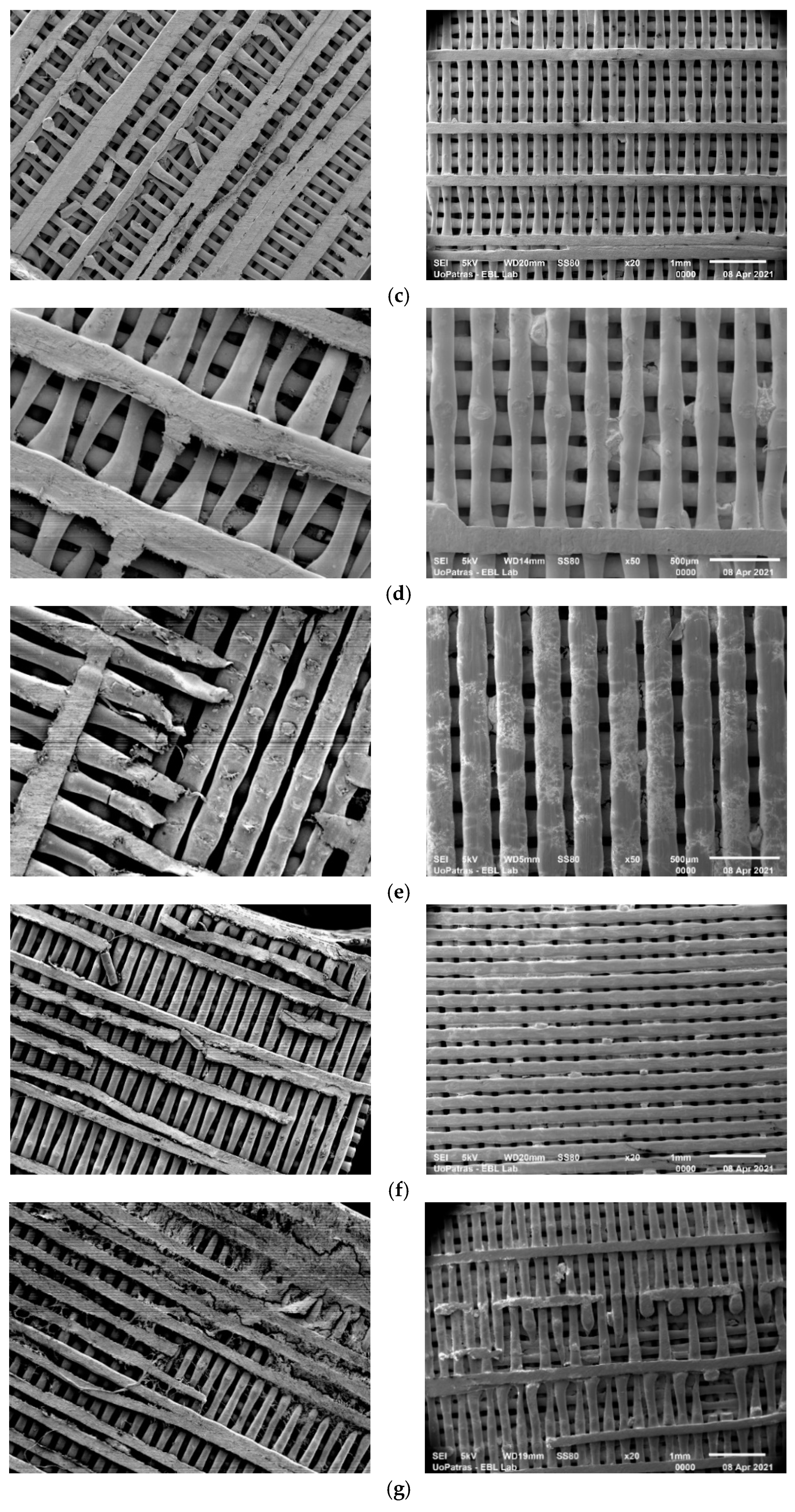 Biomimetics 09 00743 g001b