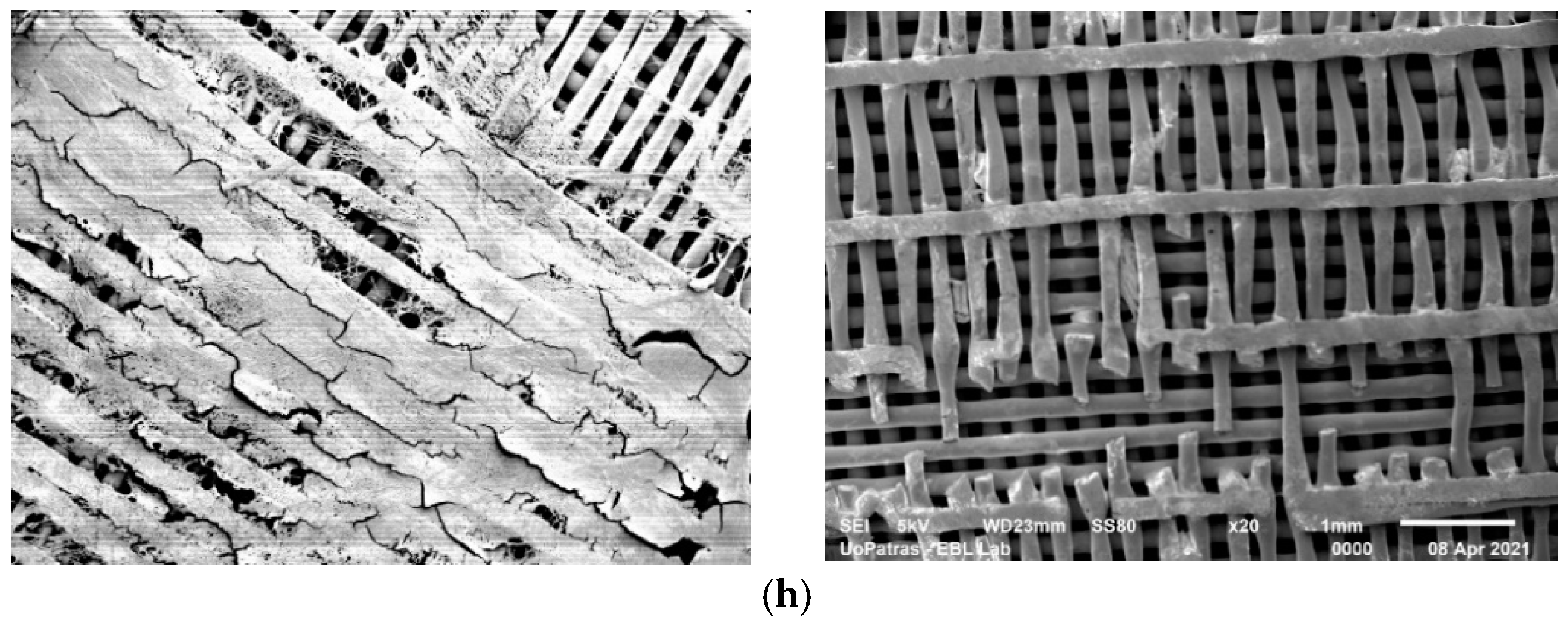 Biomimetics 09 00743 g001c