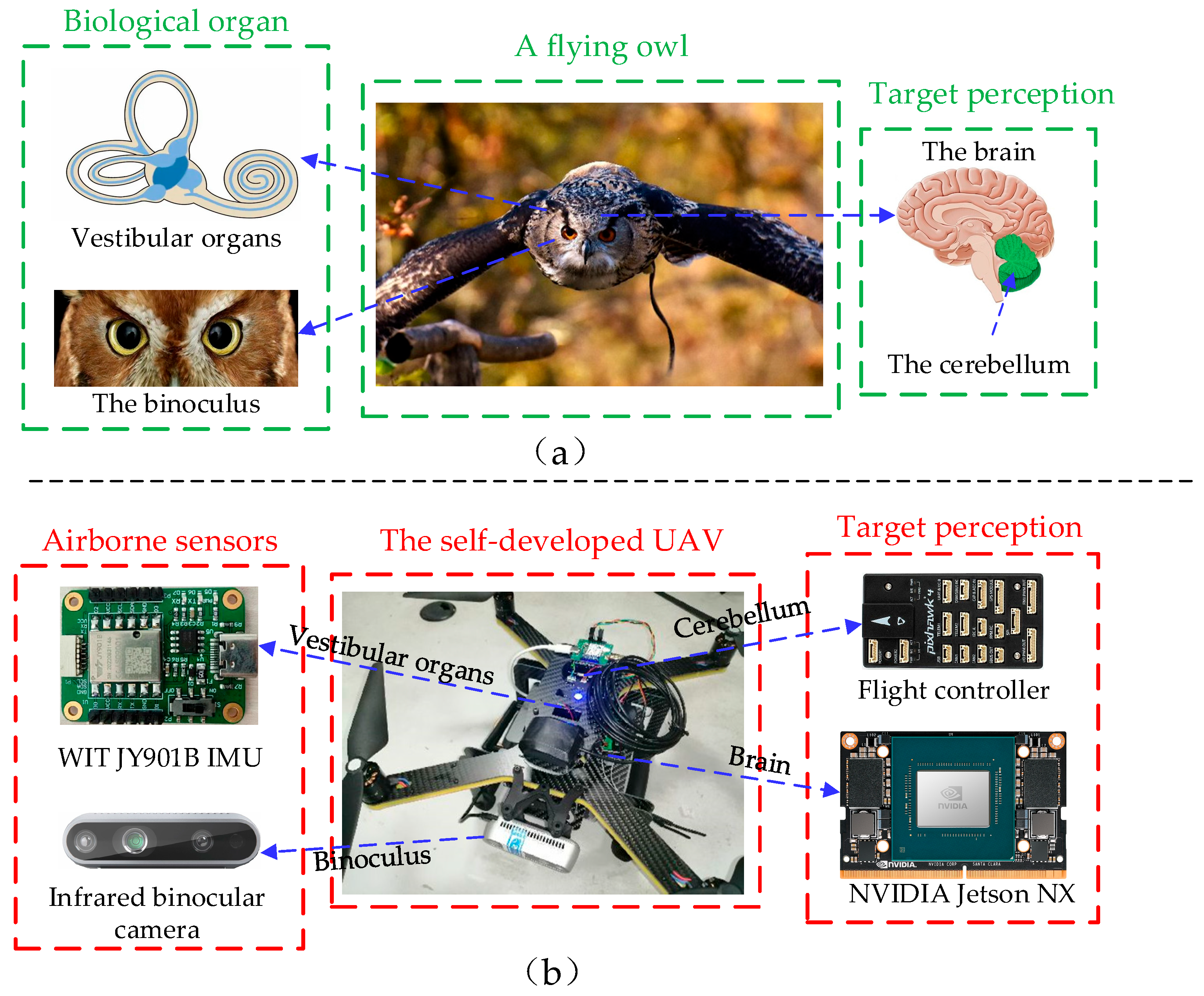 Biomimetics 09 00745 g002