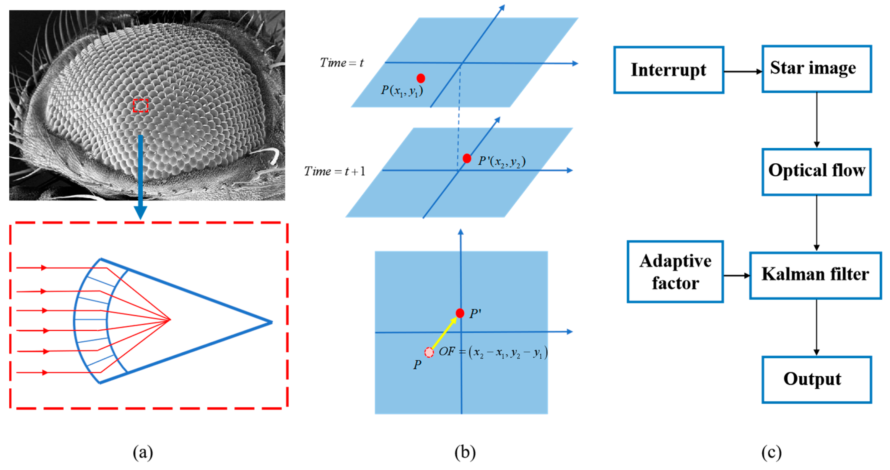 Biomimetics 09 00748 g001
