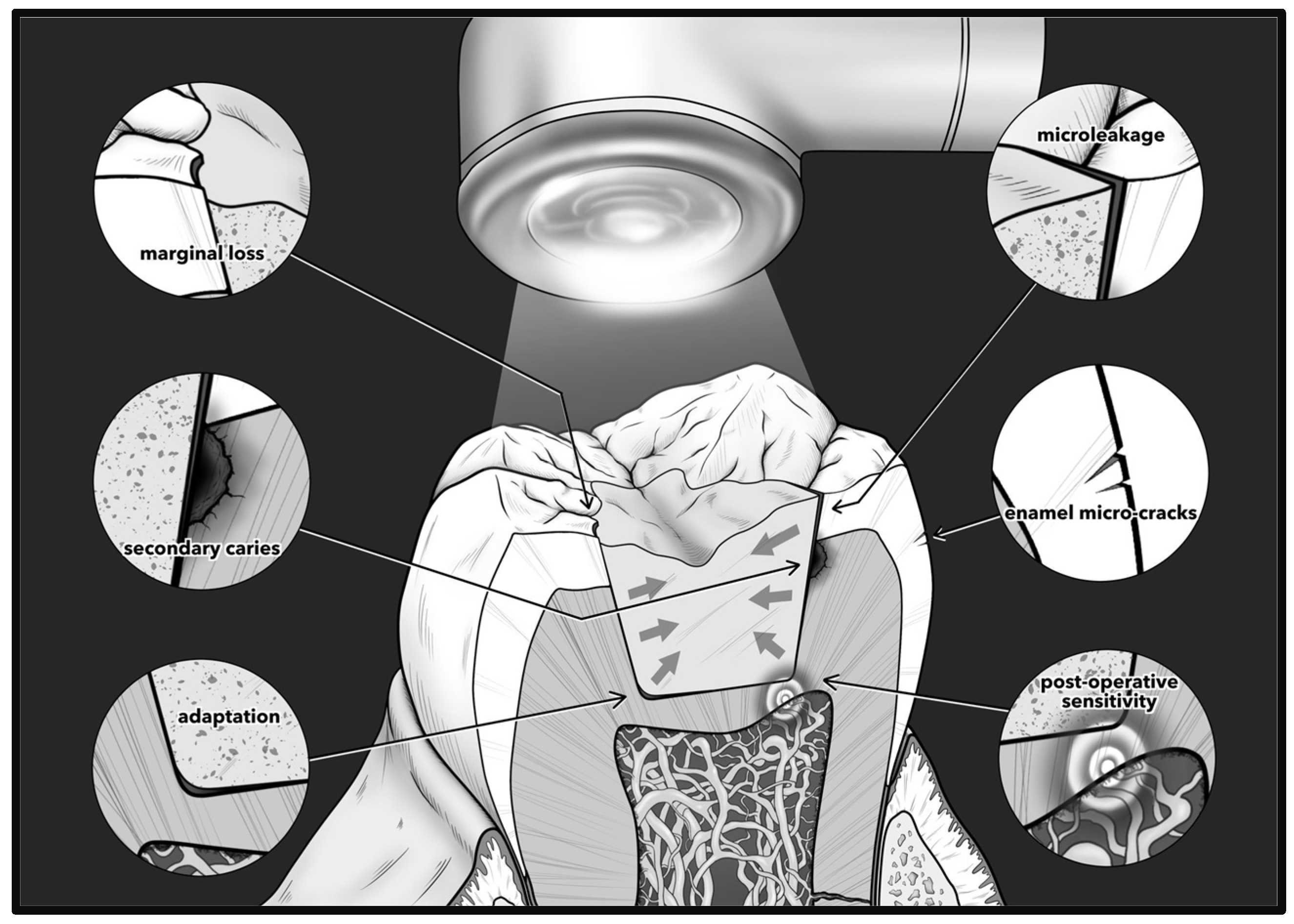 Biomimetics 09 00753 g001