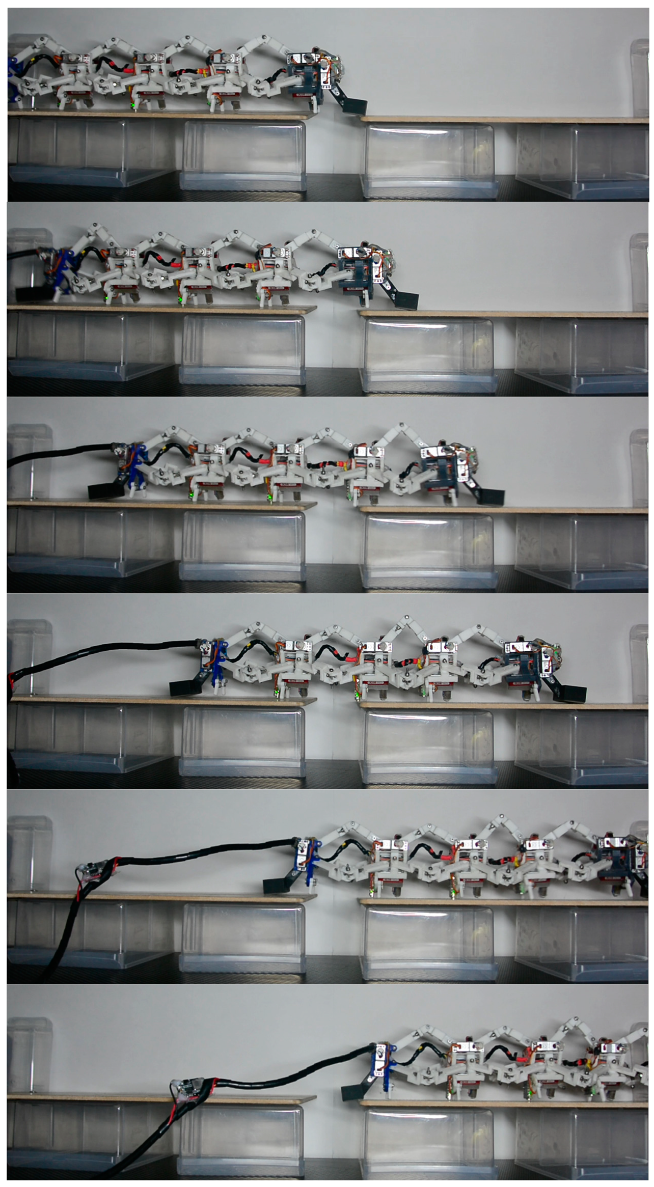 Biomimetics 09 00754 g015