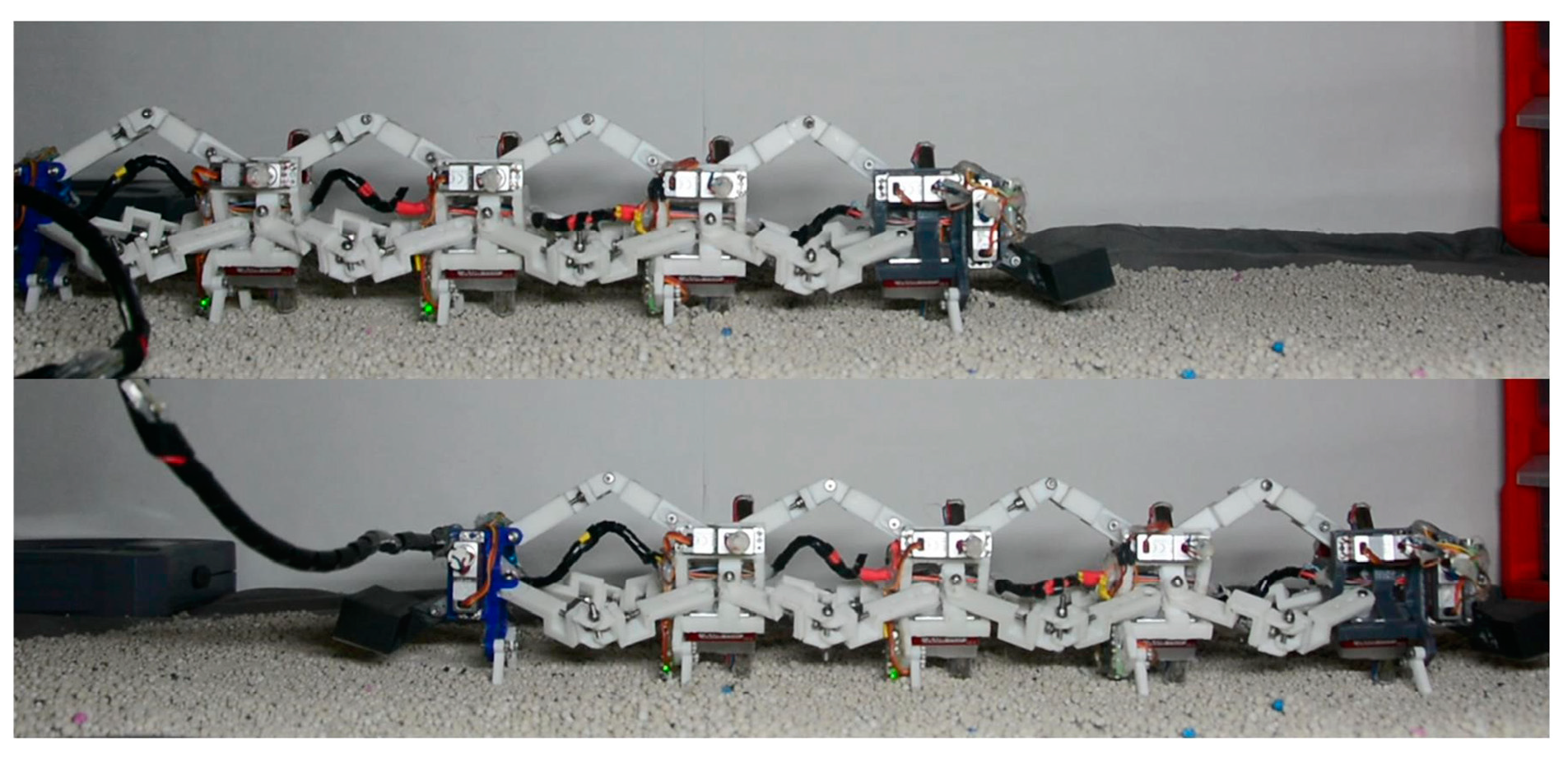 Biomimetics 09 00754 g016