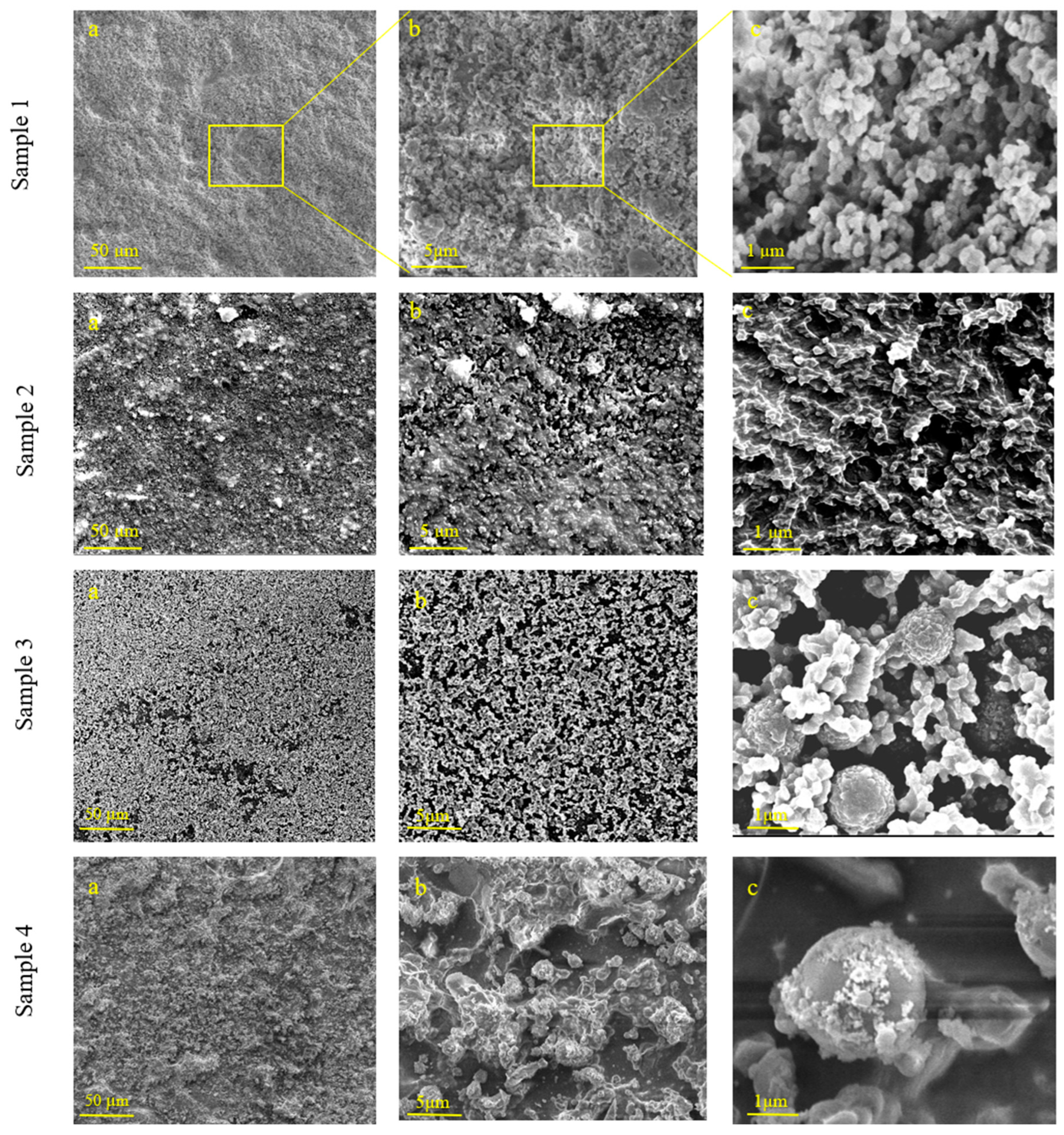 Biomimetics 09 00756 g001