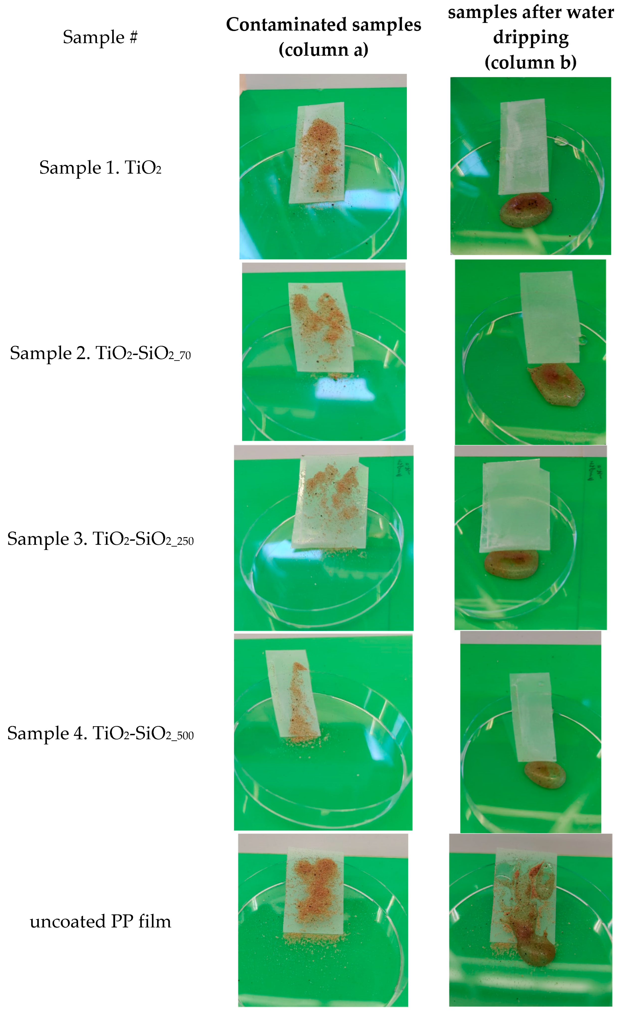 Biomimetics 09 00756 g006