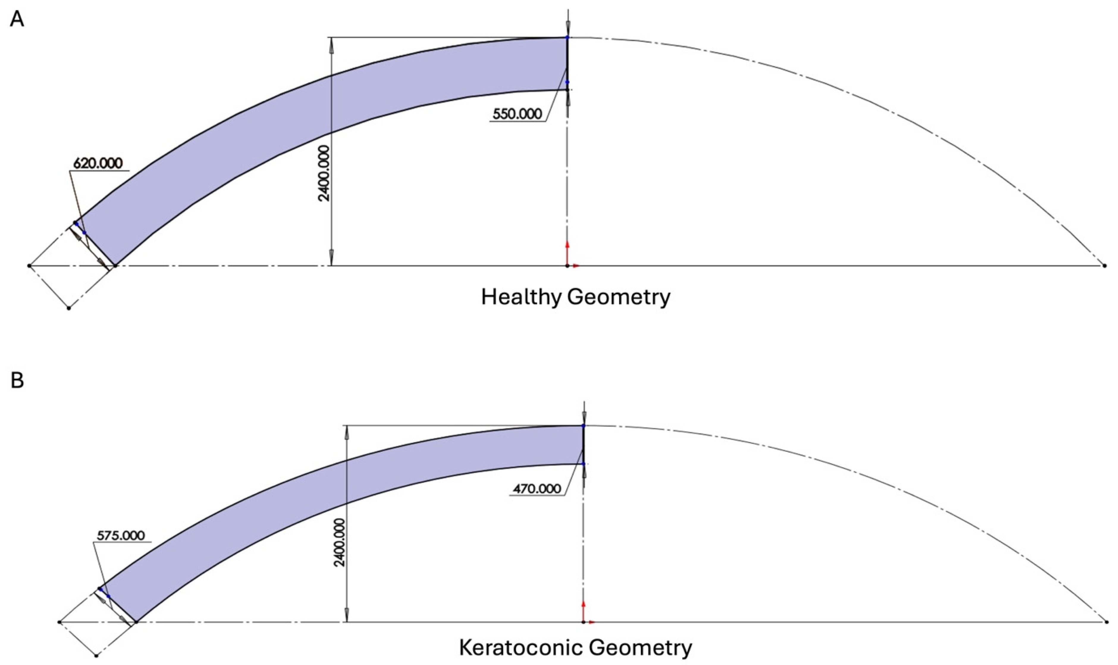 Biomimetics 09 00758 g001