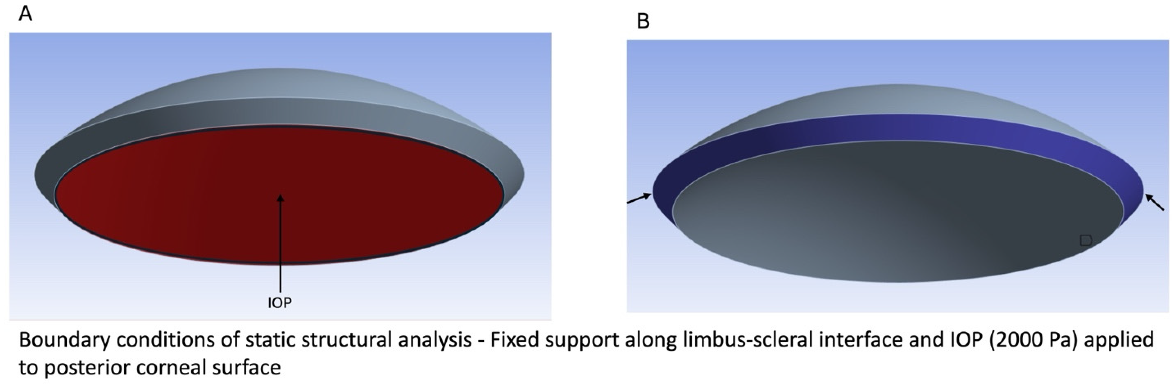 Biomimetics 09 00758 g002