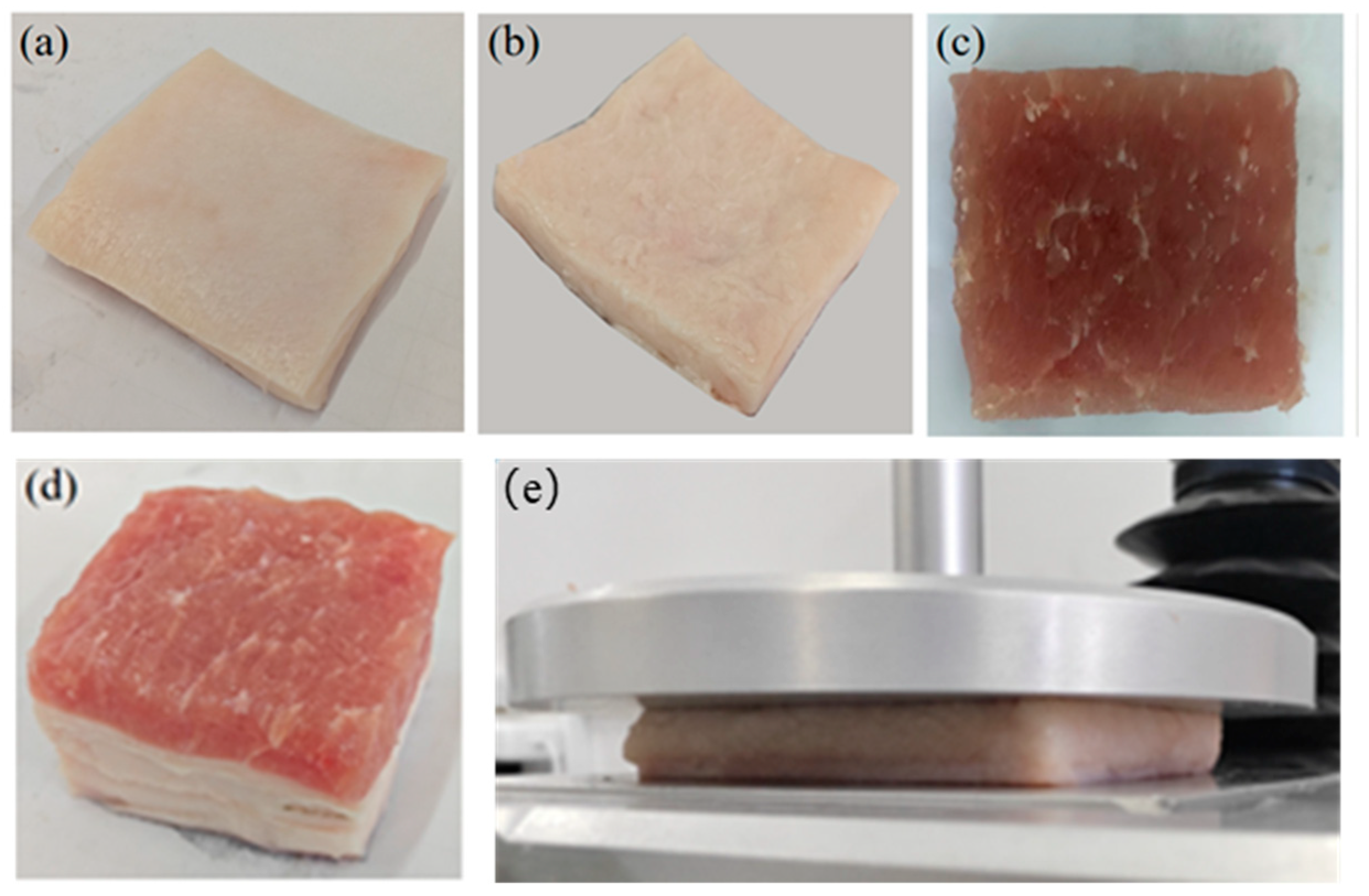 Biomimetics 09 00762 g001