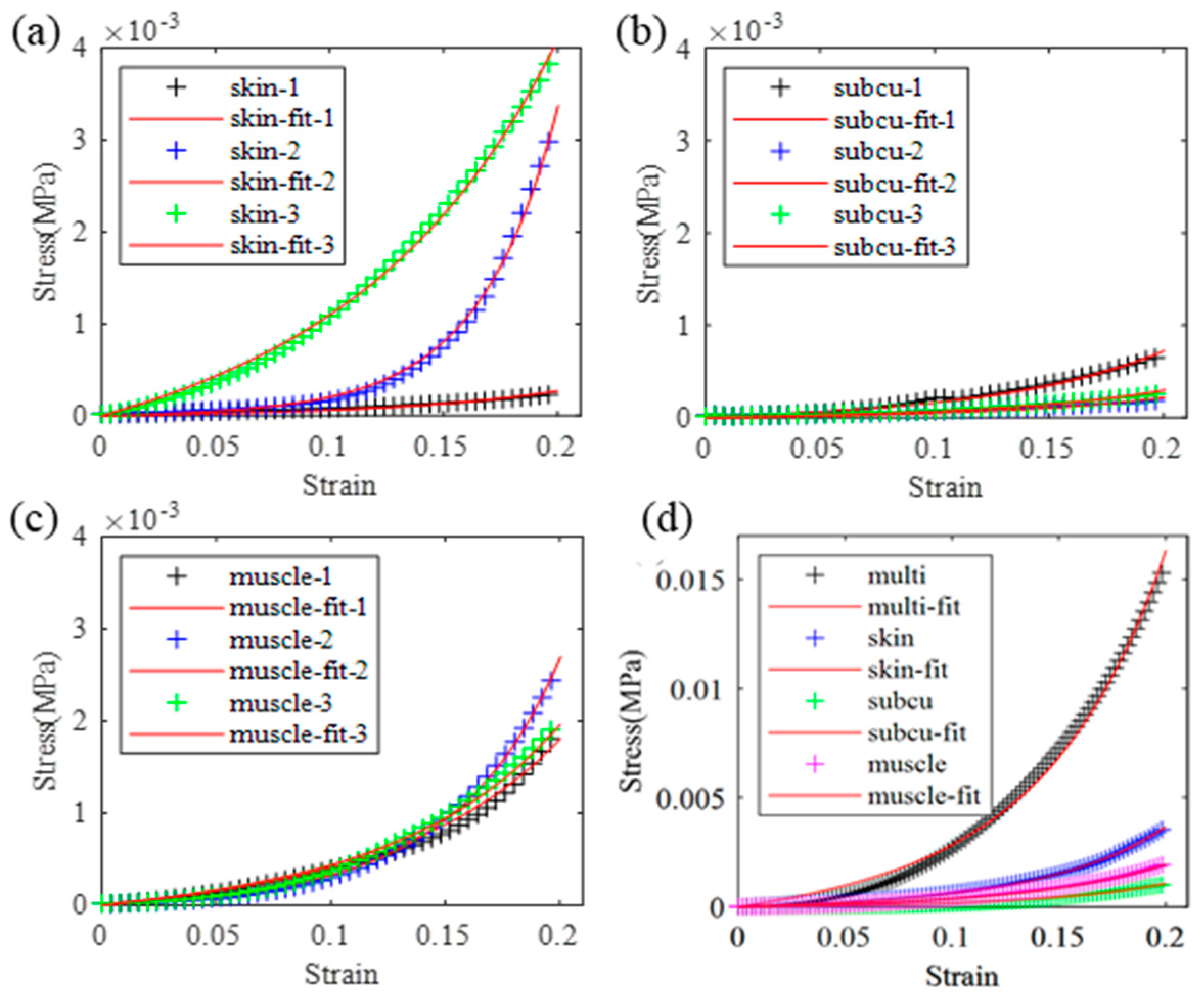Biomimetics 09 00762 g003