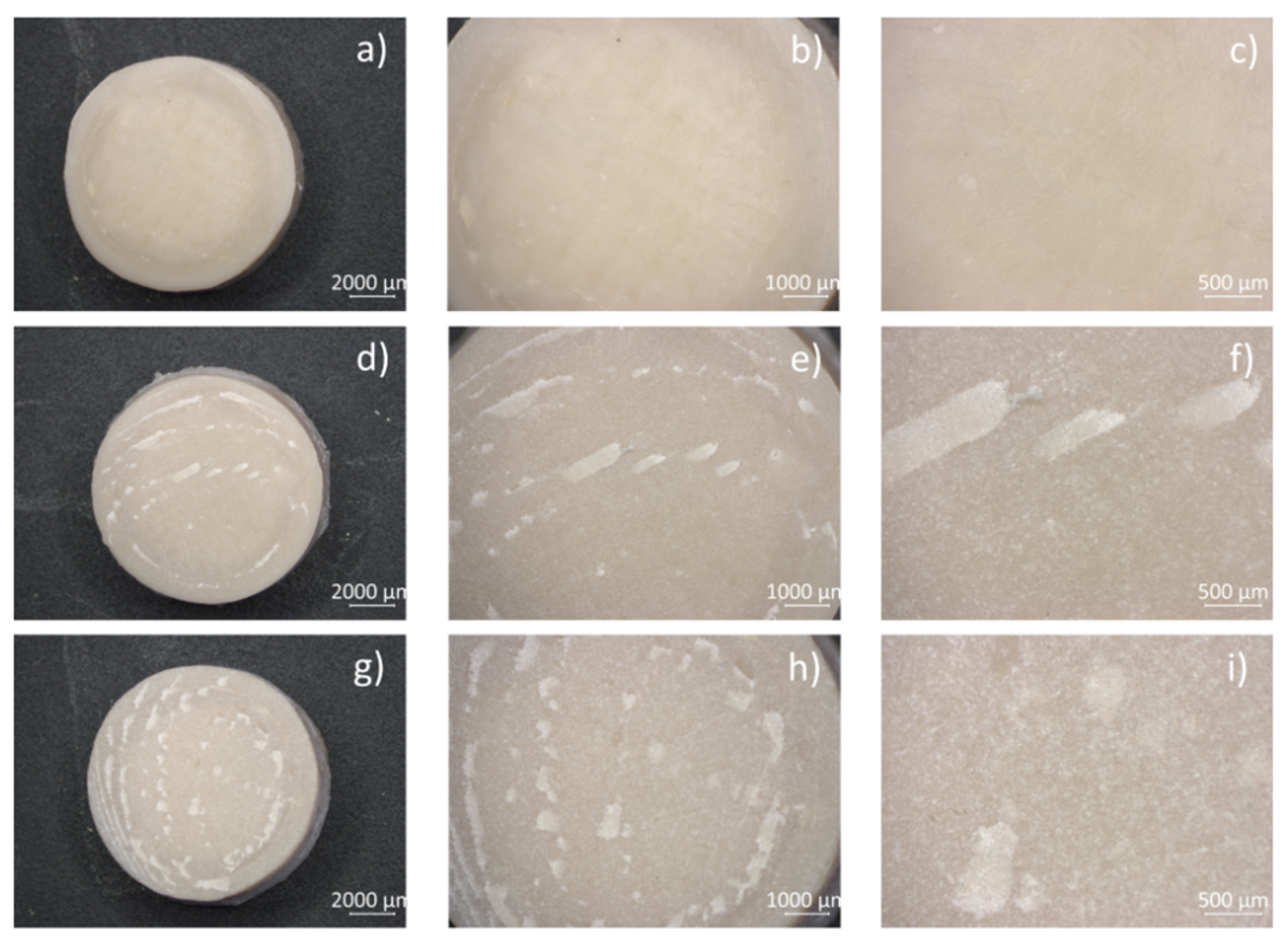 Biomimetics 09 00767 g002