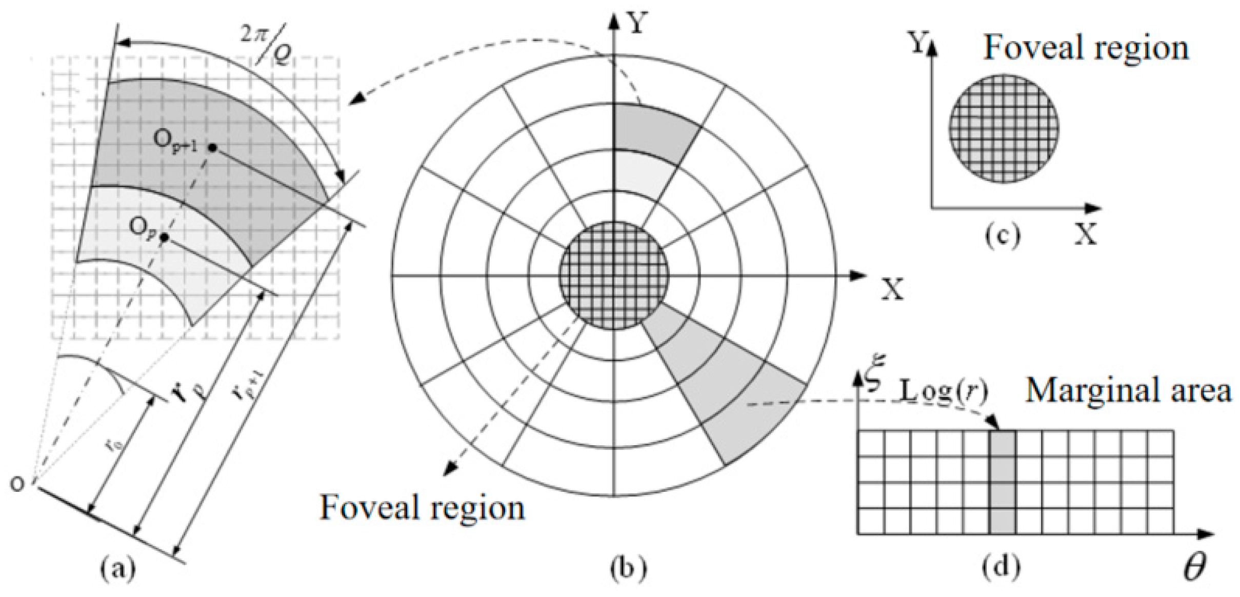 Biomimetics 09 00768 g002