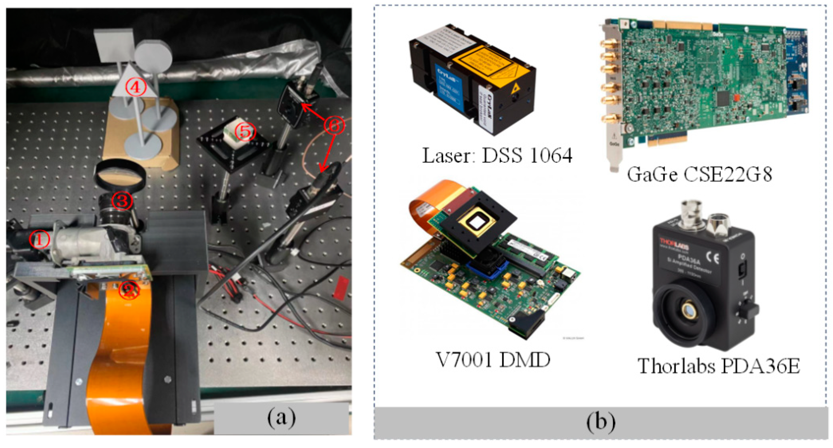 Biomimetics 09 00768 g003