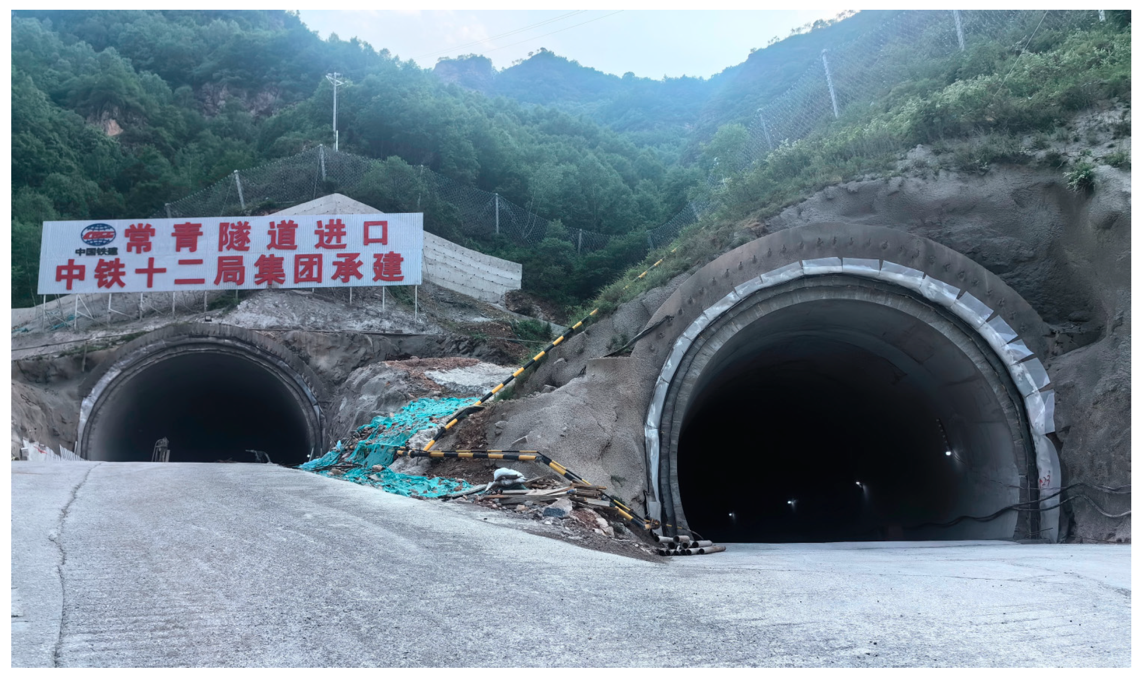 Biomimetics 09 00768 g010