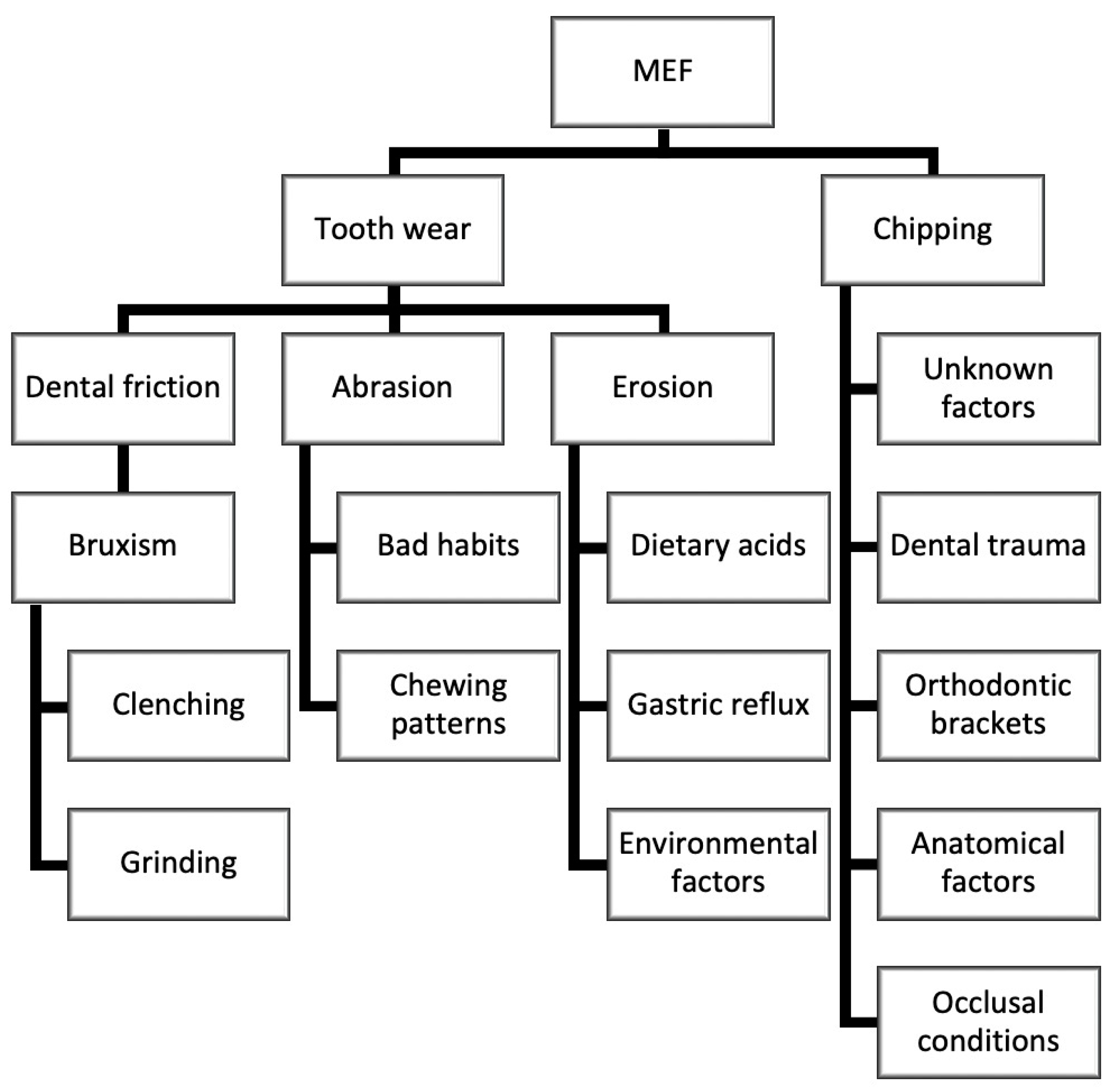 Biomimetics 09 00770 g001