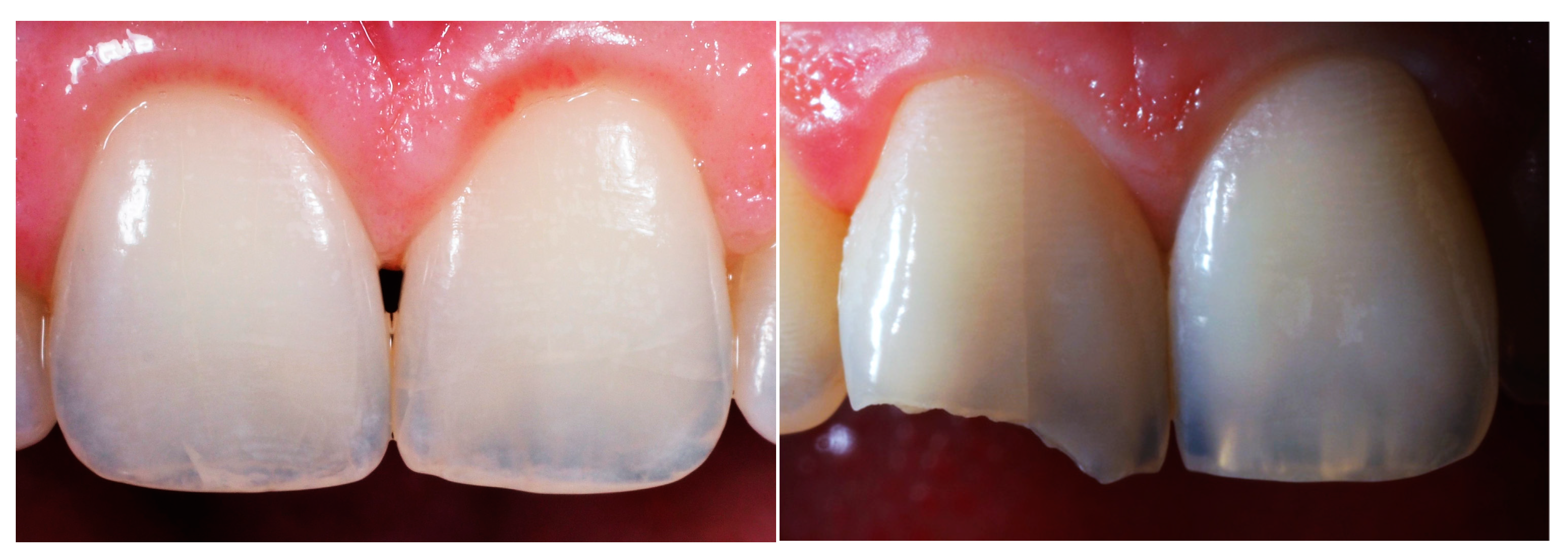 Biomimetics 09 00770 g002