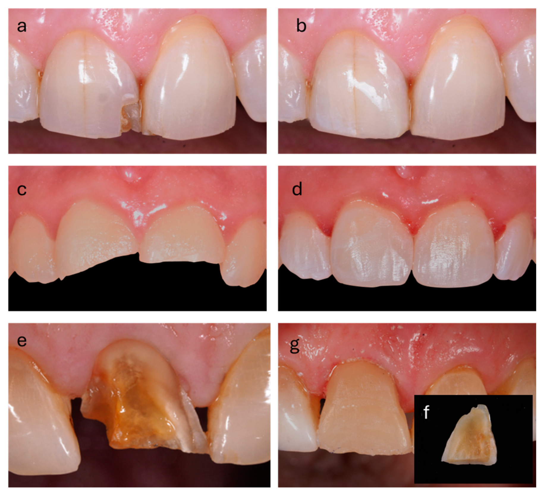 Biomimetics 09 00770 g003