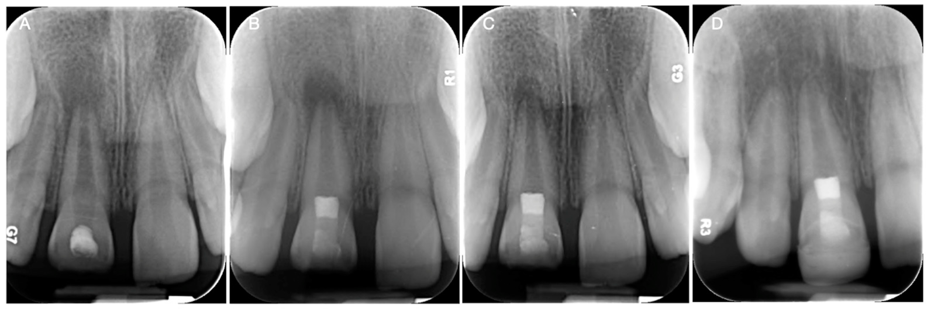 Biomimetics 09 00771 g003