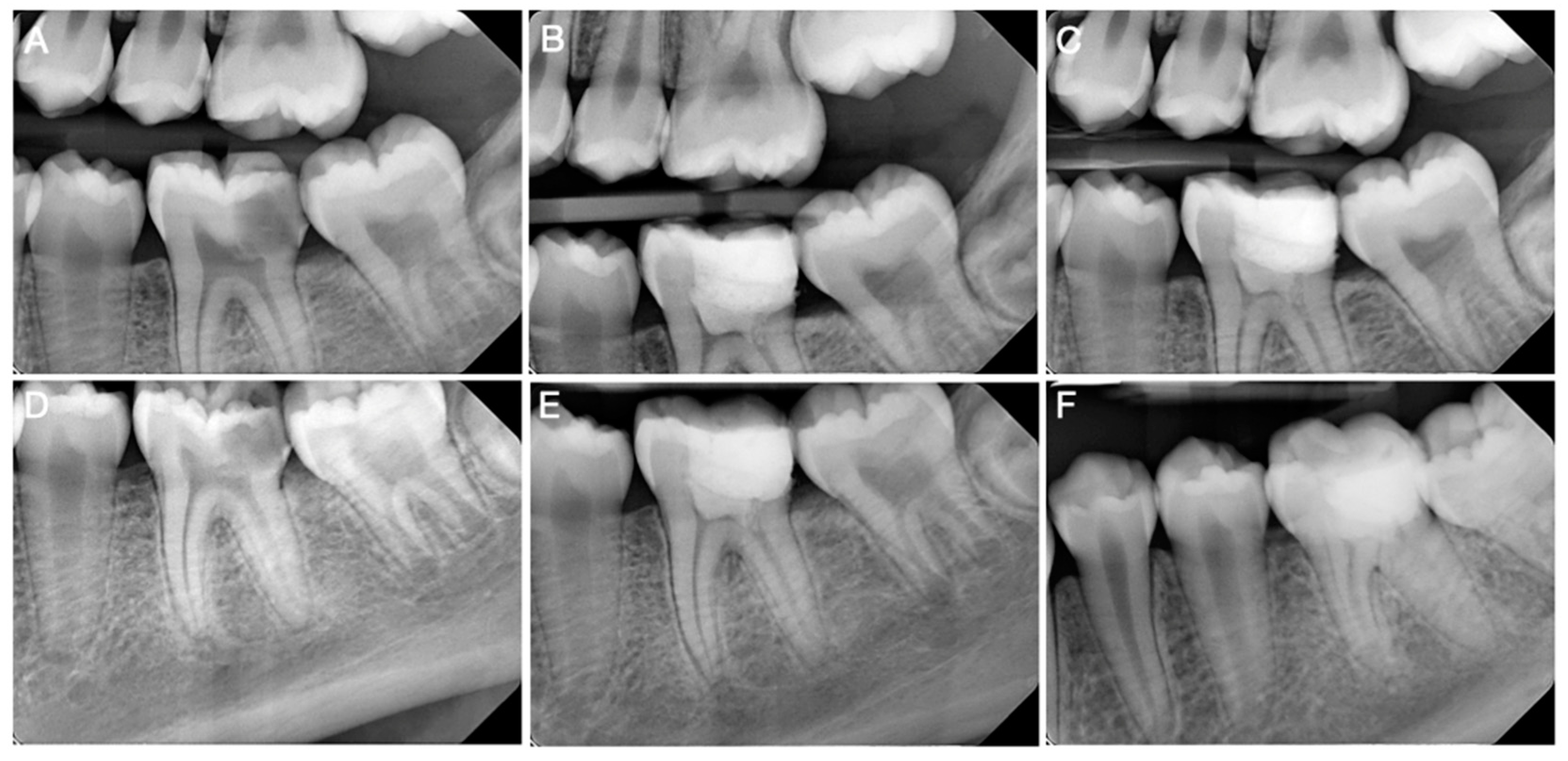 Biomimetics 09 00771 g004