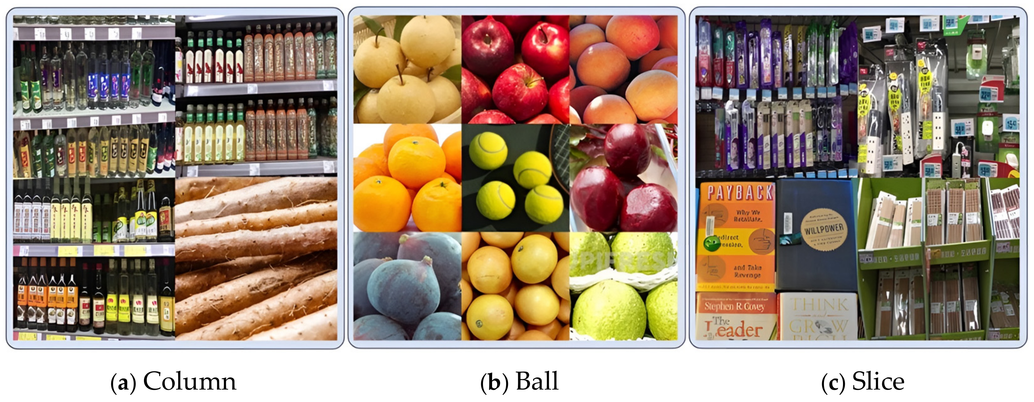 Biomimetics 09 00775 g003