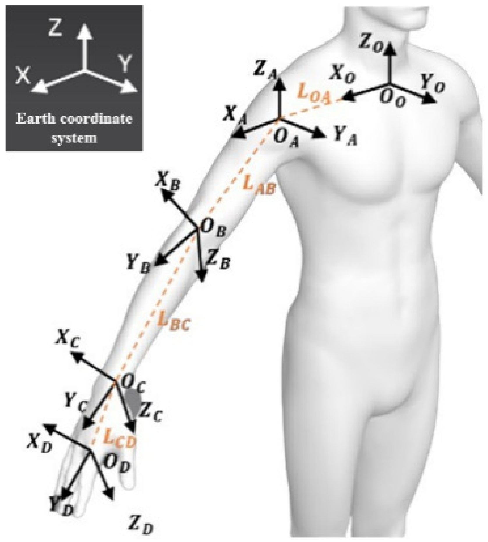 Biomimetics 09 00775 g011