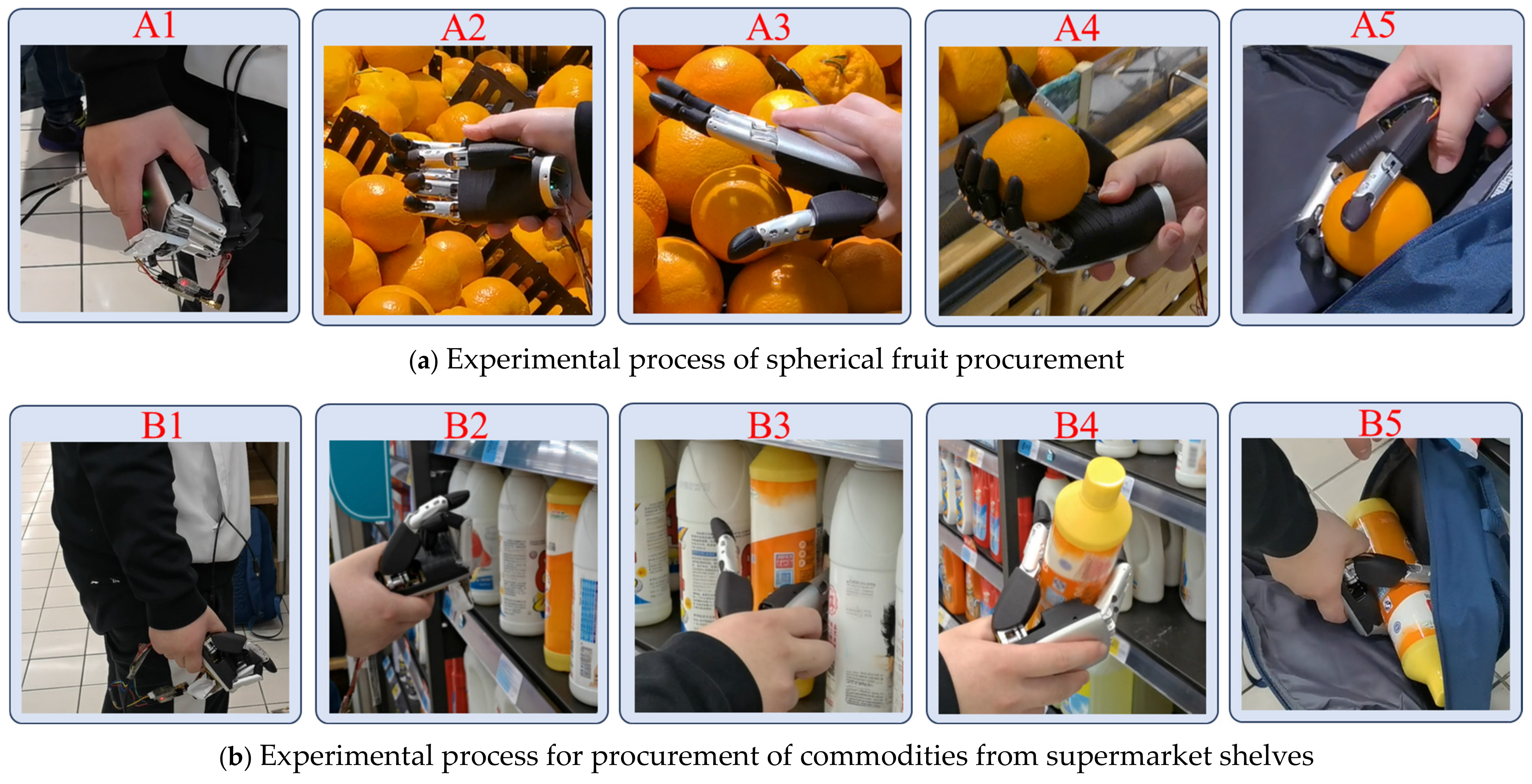 Biomimetics 09 00775 g015a