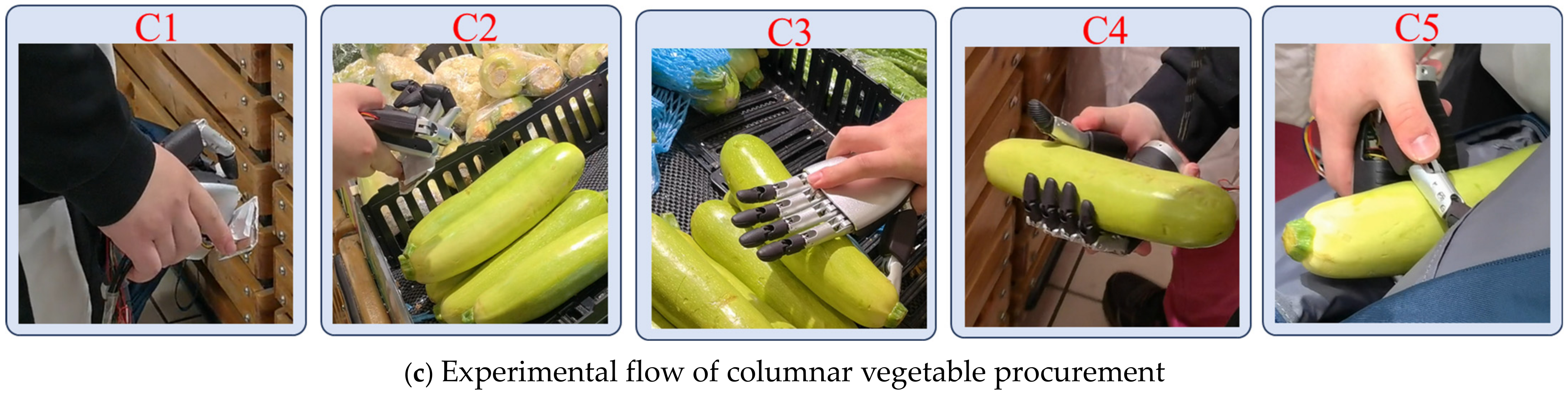 Biomimetics 09 00775 g015b