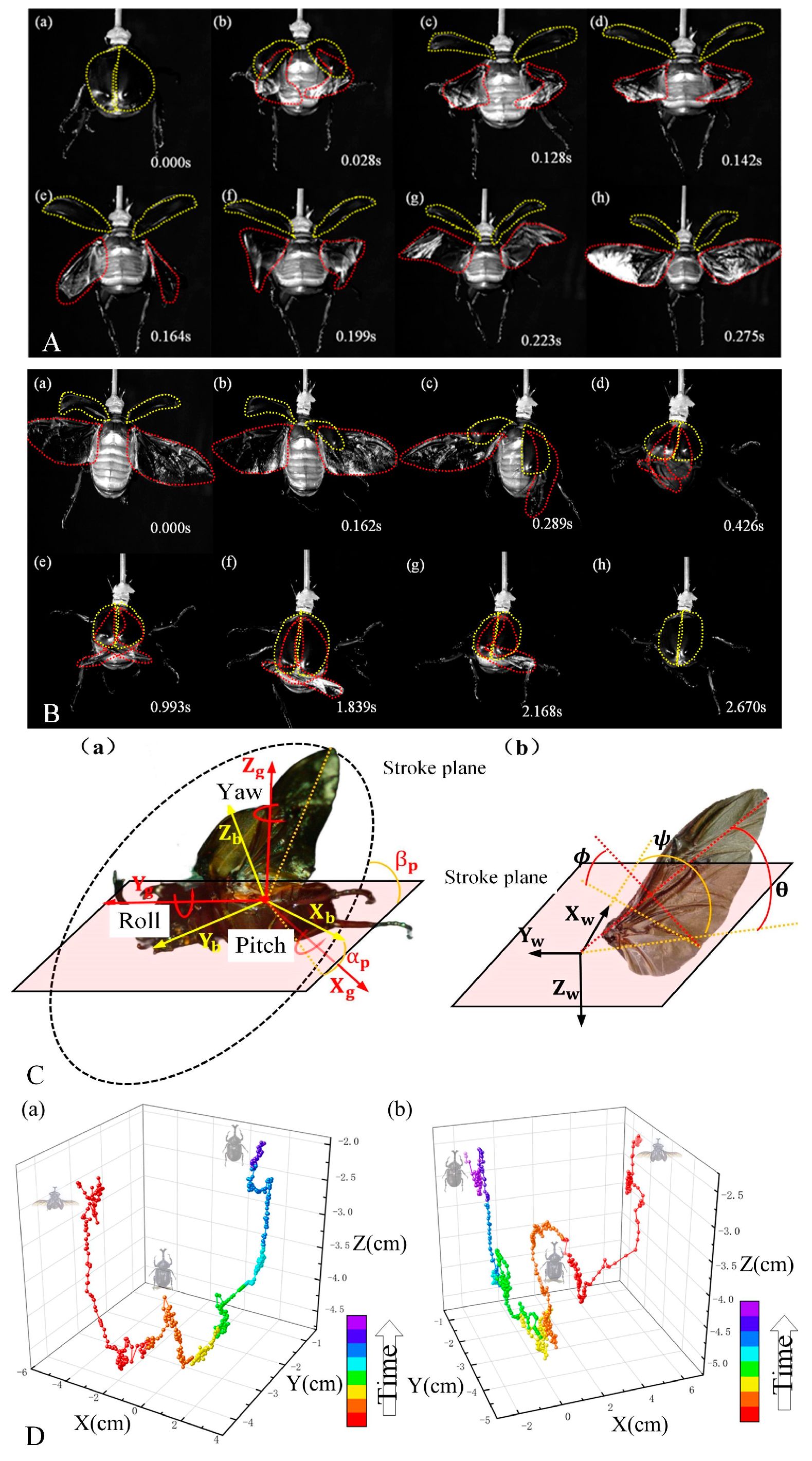 Biomimetics 09 00777 g002