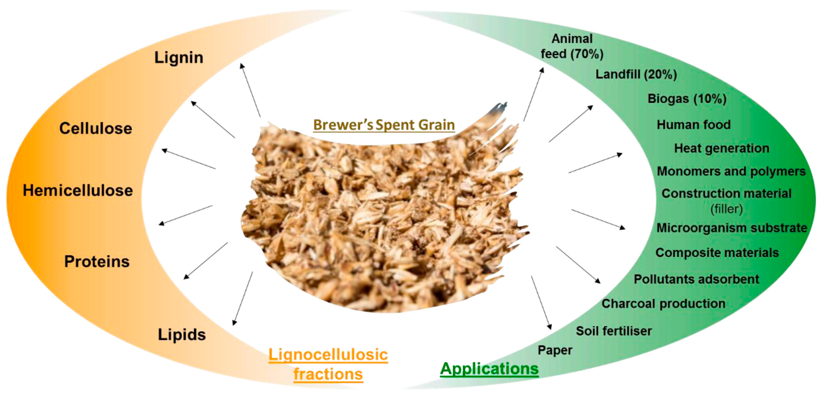 Biomimetics 09 00781 g001