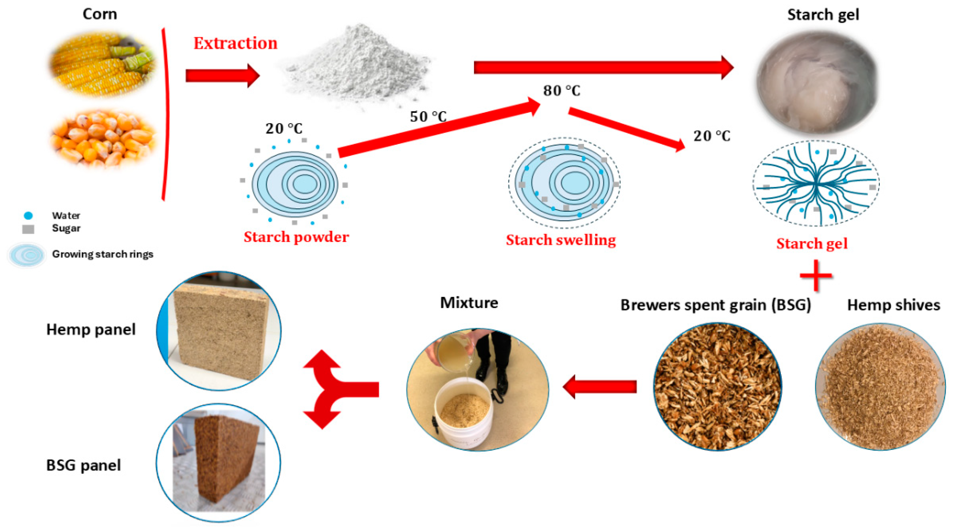Biomimetics 09 00781 g003