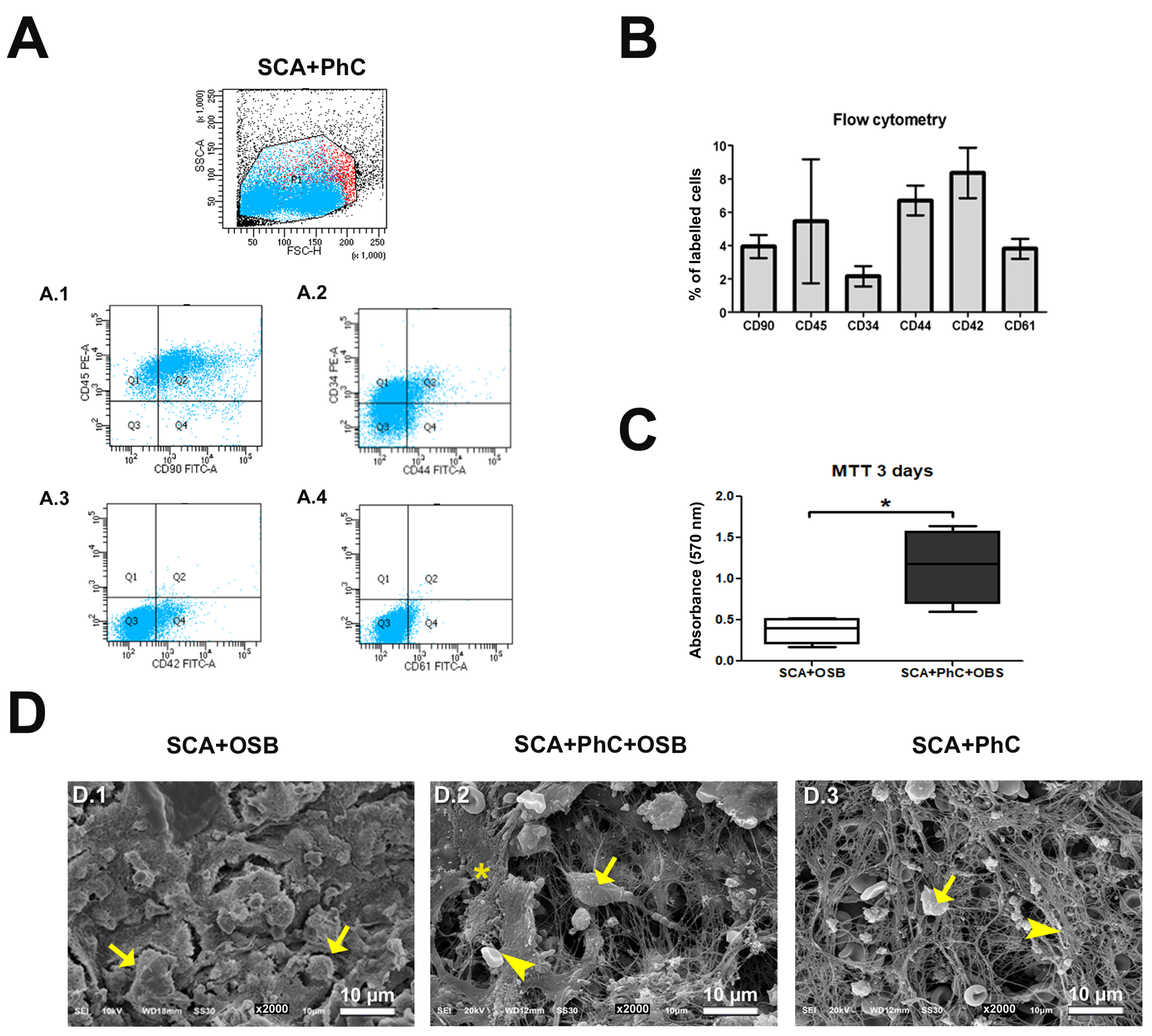 Biomimetics 09 00782 g002