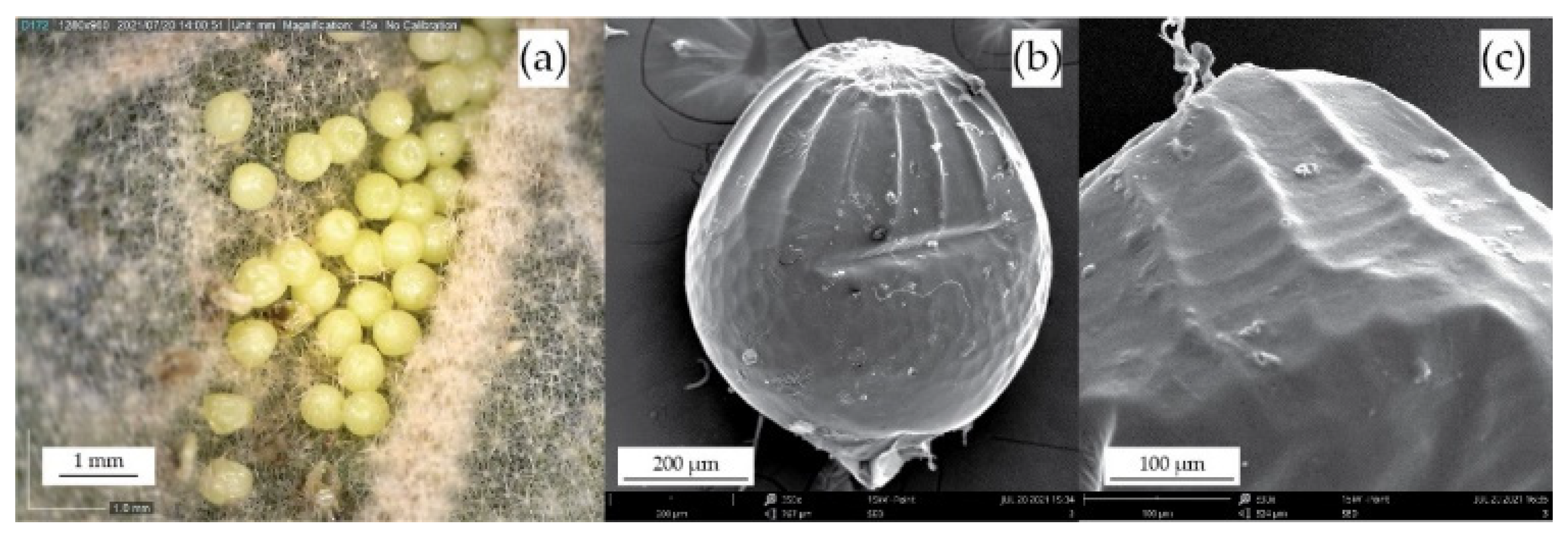 Biomimetics 10 00001 g002